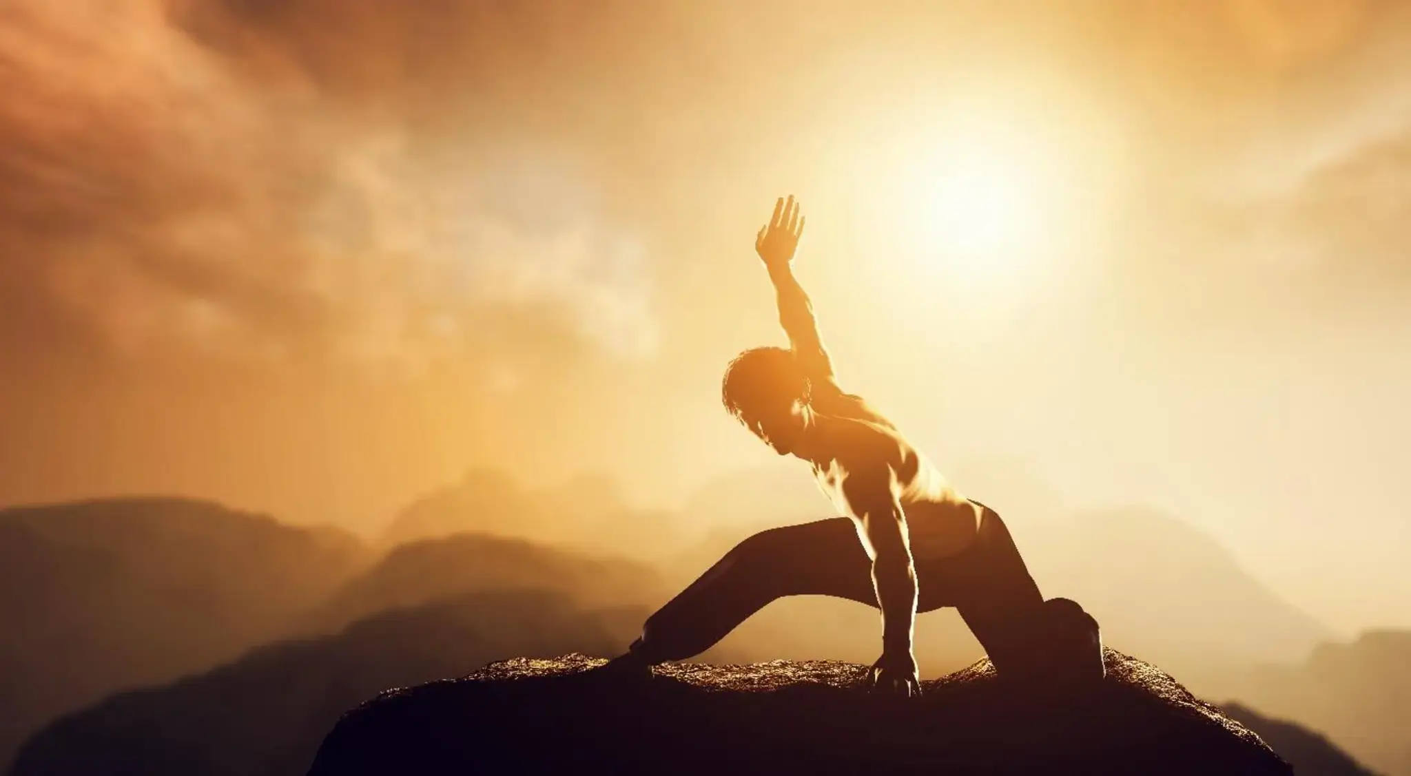 Negis The School of Martial Arts