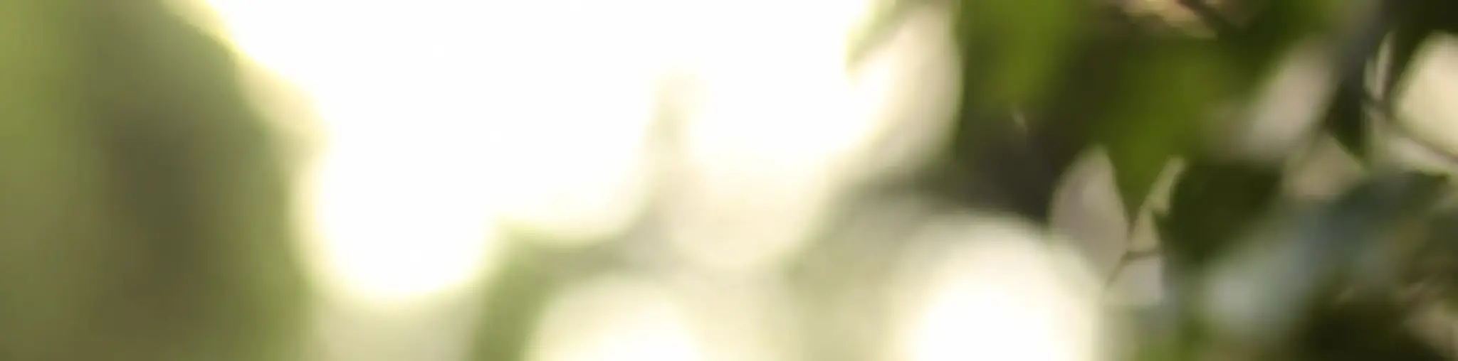 Acting Up! Youth Theatre Academy