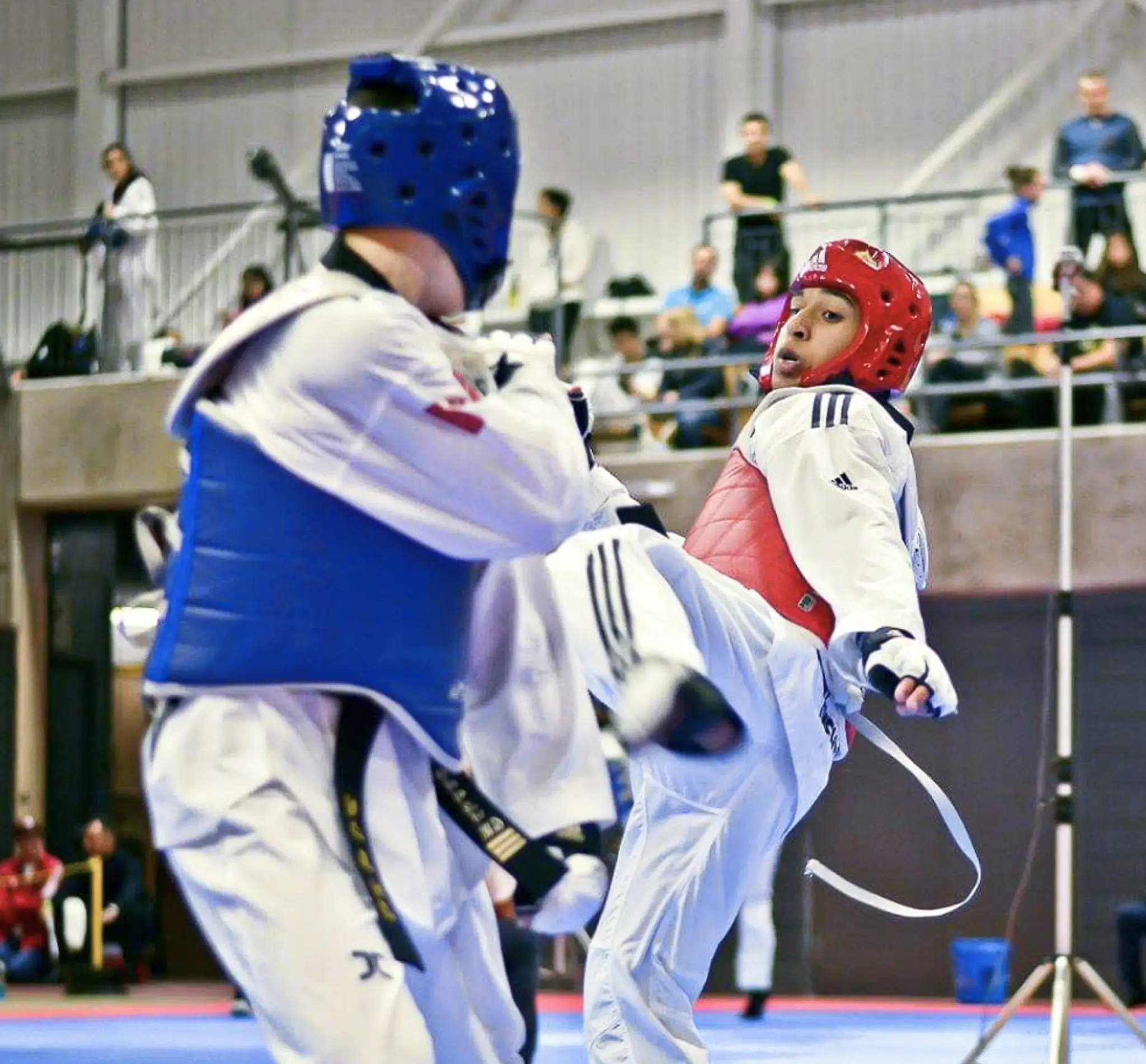Mississauga Taekwondo - Argentia