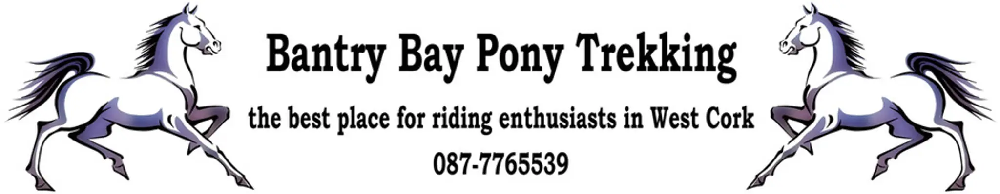 Bantry Bay Pony Trekking