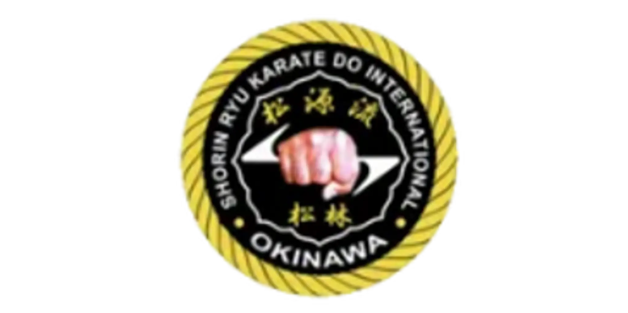 Okinawa Shorin Ryu Karate Do India - A Better Day Fitness and Martial Arts Club - Whitefield Martial Arts