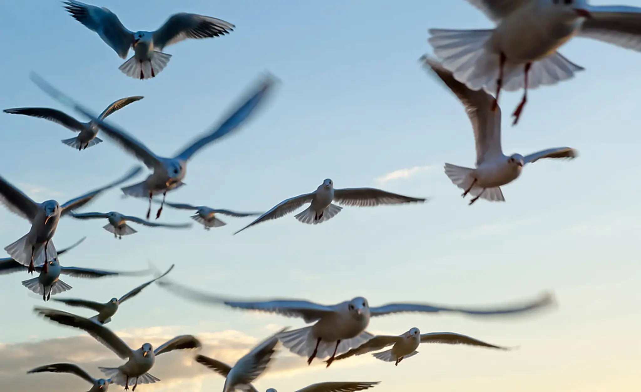 PHYSIOTHERAPIST & YOGA Consultant