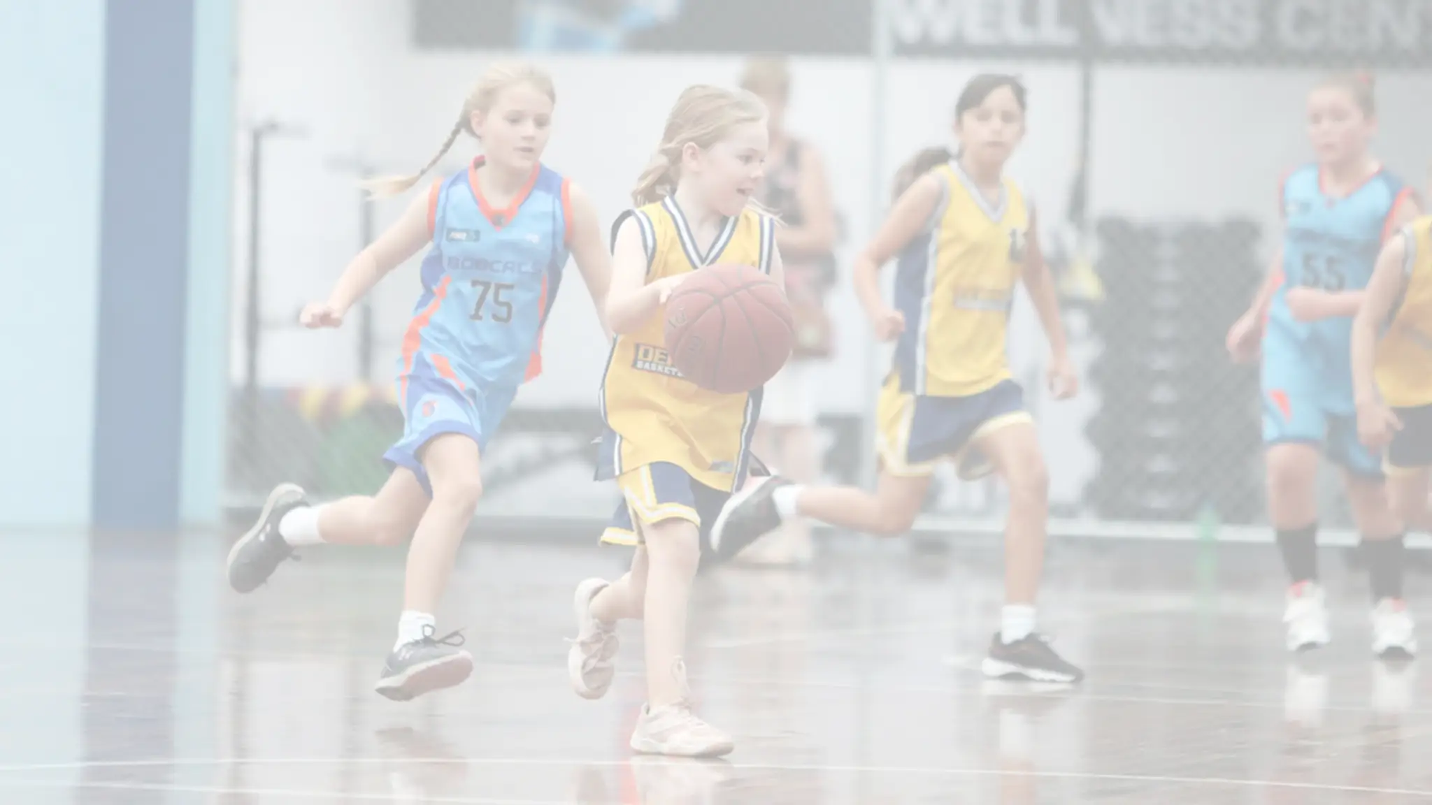 Dreamstreet Lending Arena - Frankston & District Basketball Association