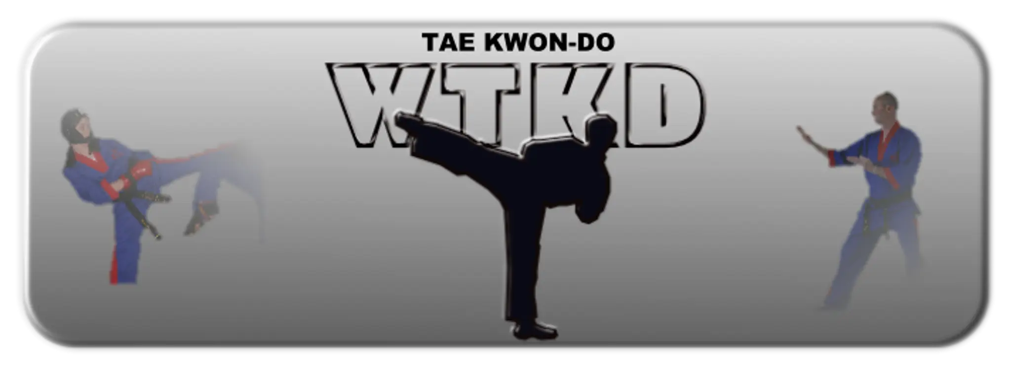 WTKD Worcester Taekwondo