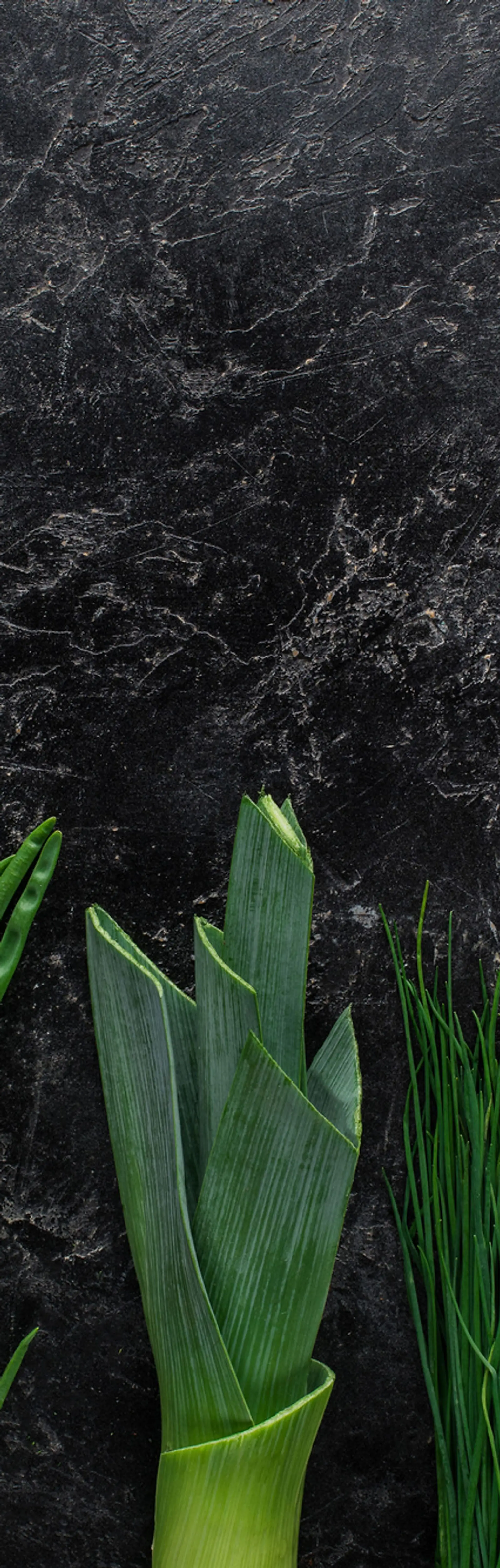 W.I.N. Lose Weight - Get Fit - Save Money - Feel Better