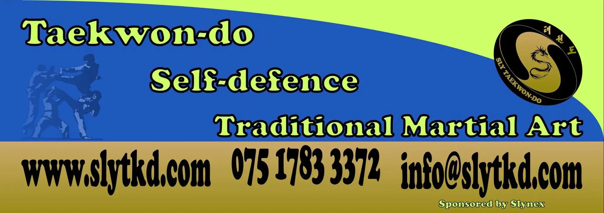 SLY Taekwon-do (Chatham)