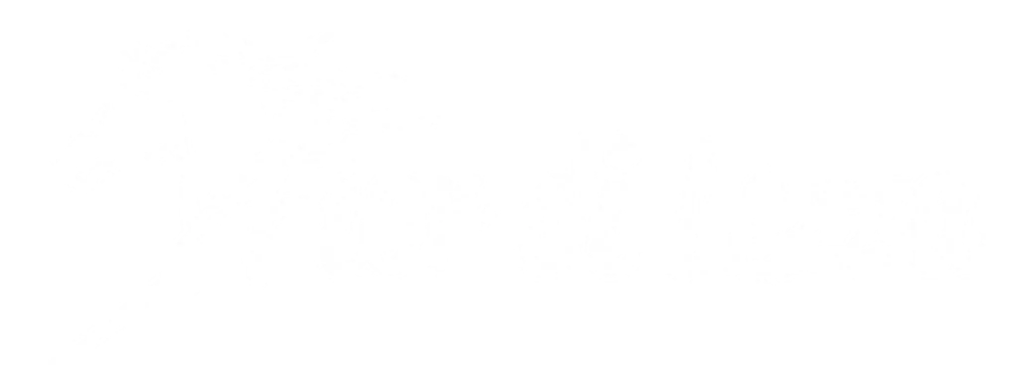 Fior di Lezza Cupabia baignade à cheval