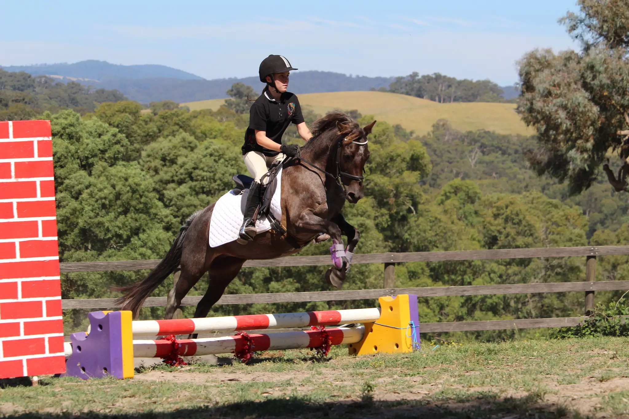 Ranges Equestrian Center