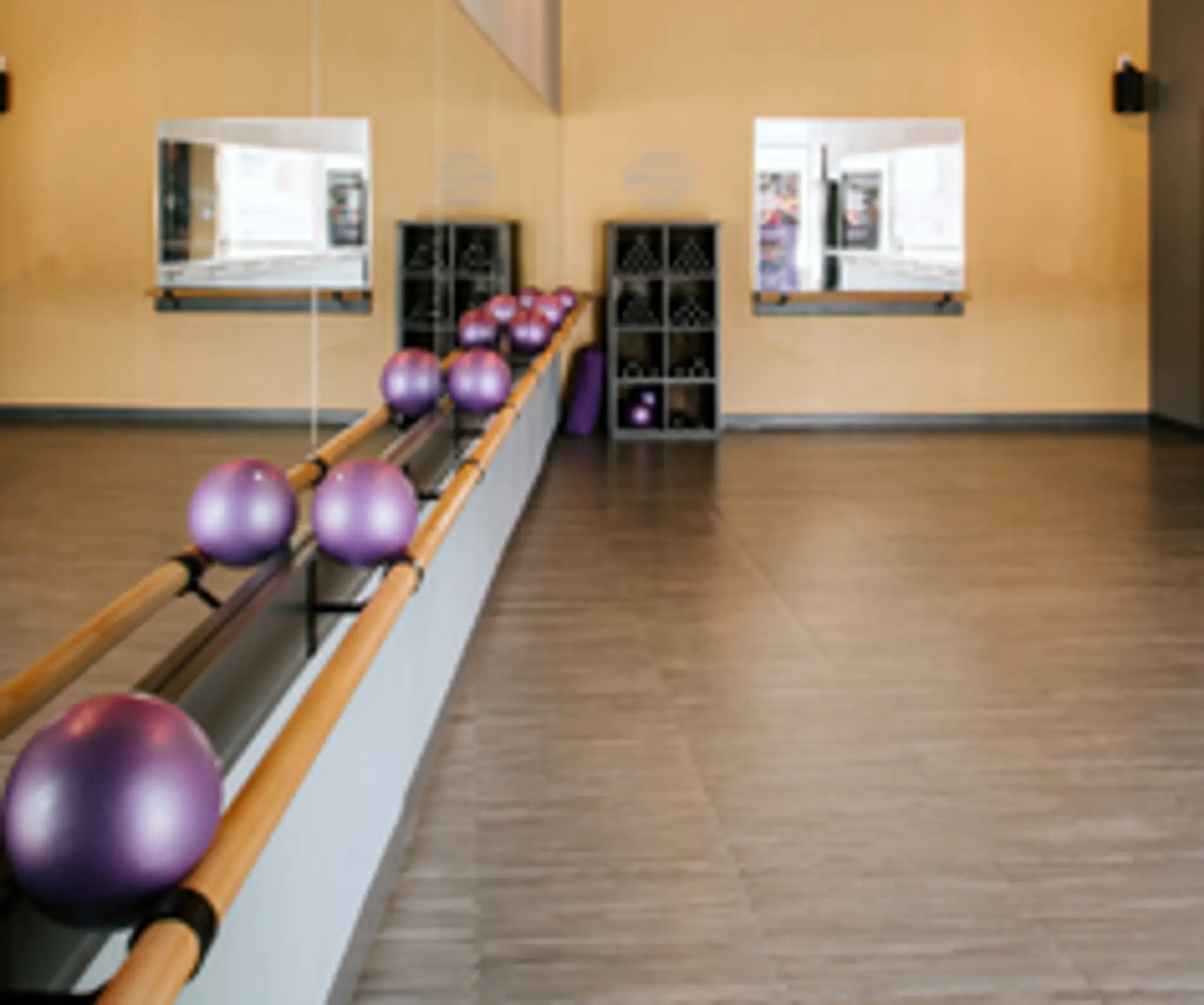 The Pilates Barre Company