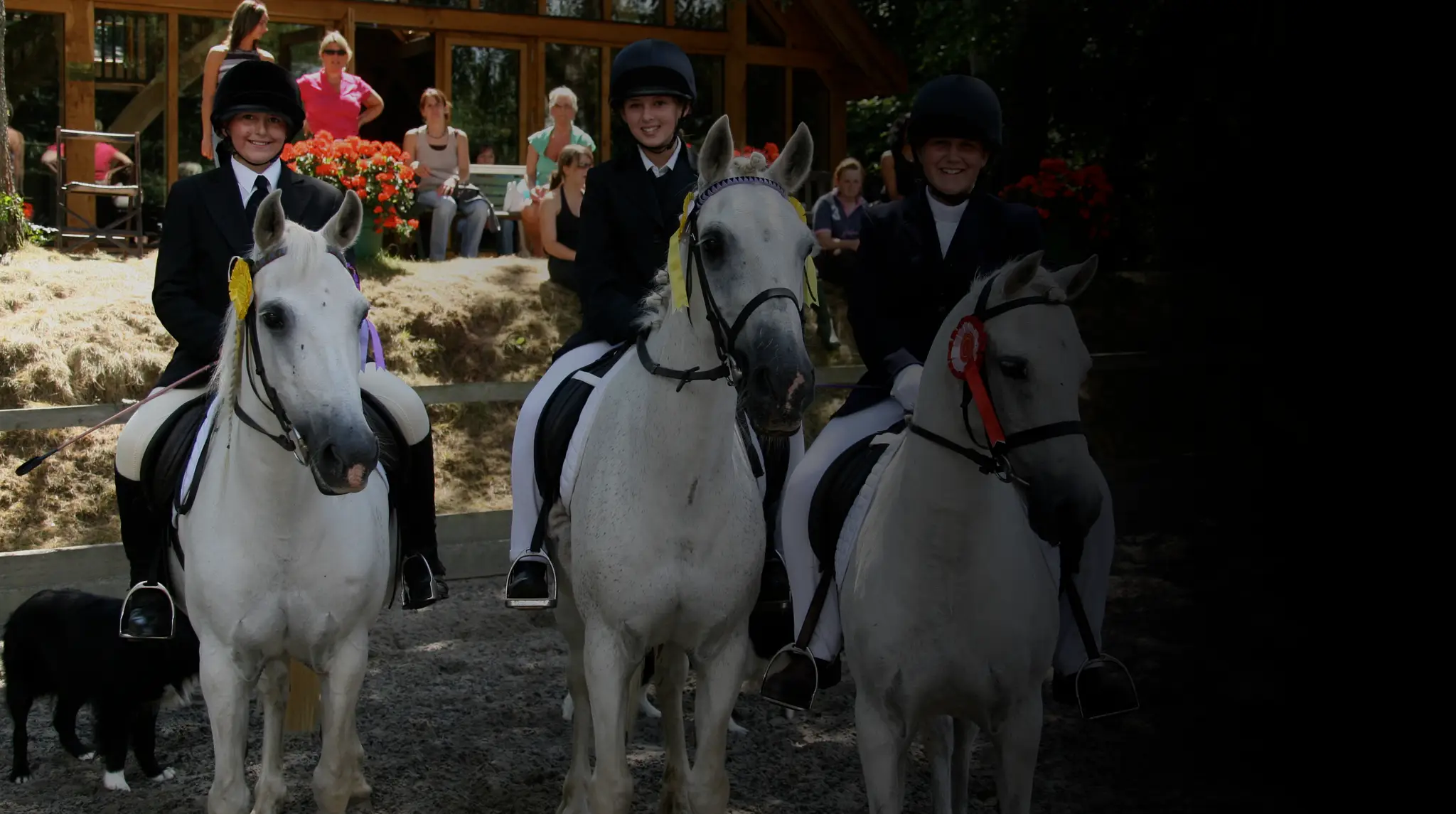 Budleigh Salterton Riding School