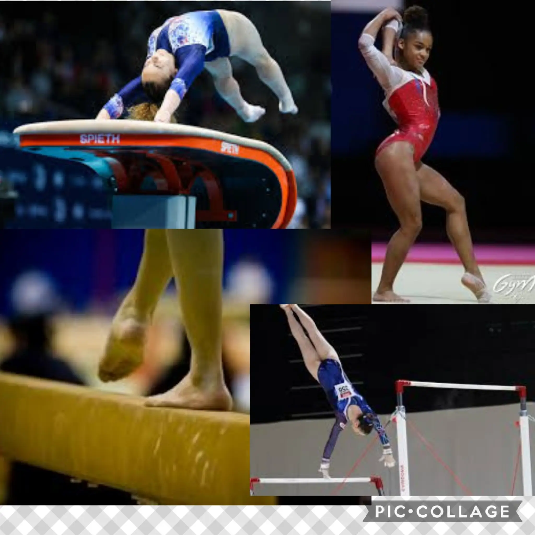 Association Gymnique Fameckoise