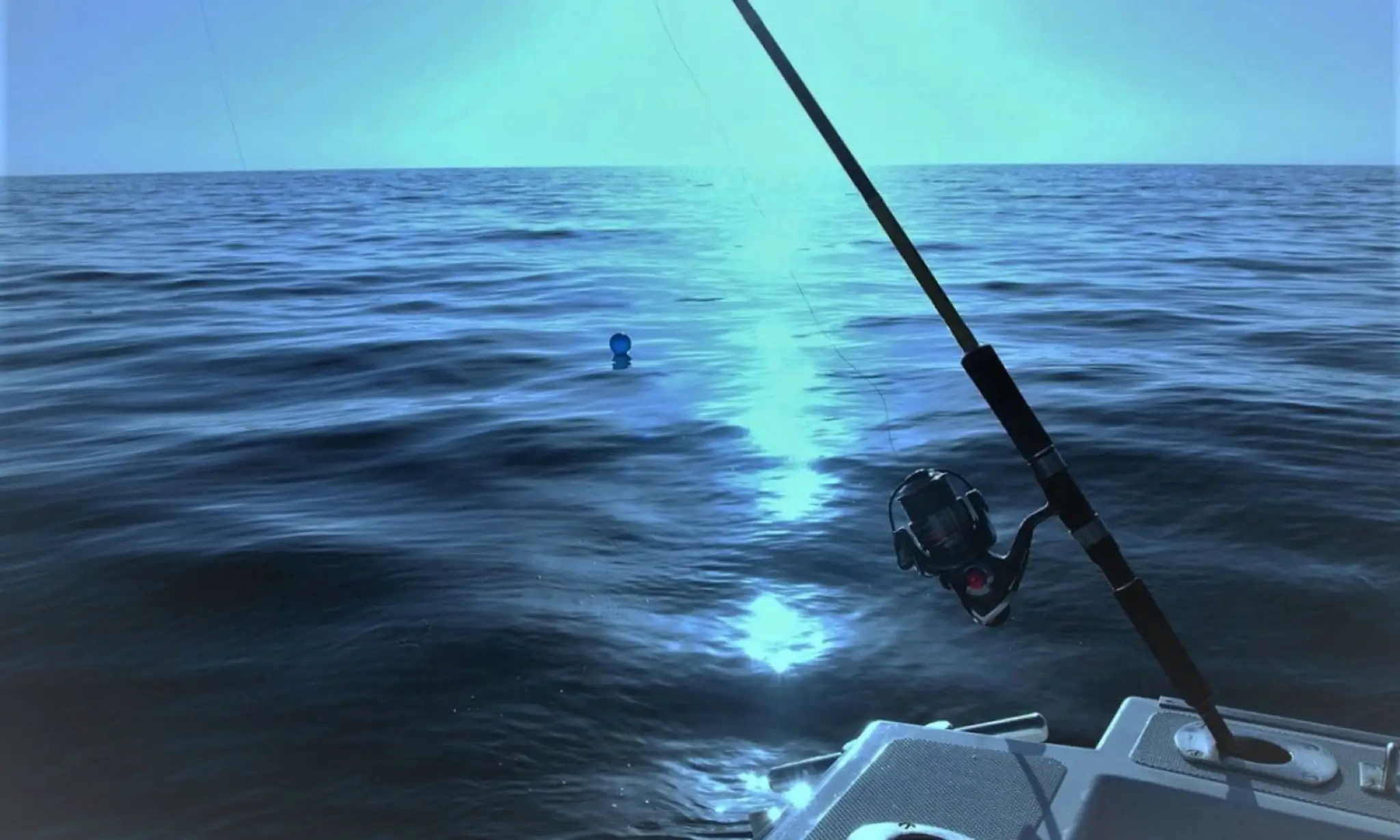 Bait & Tackle Centre