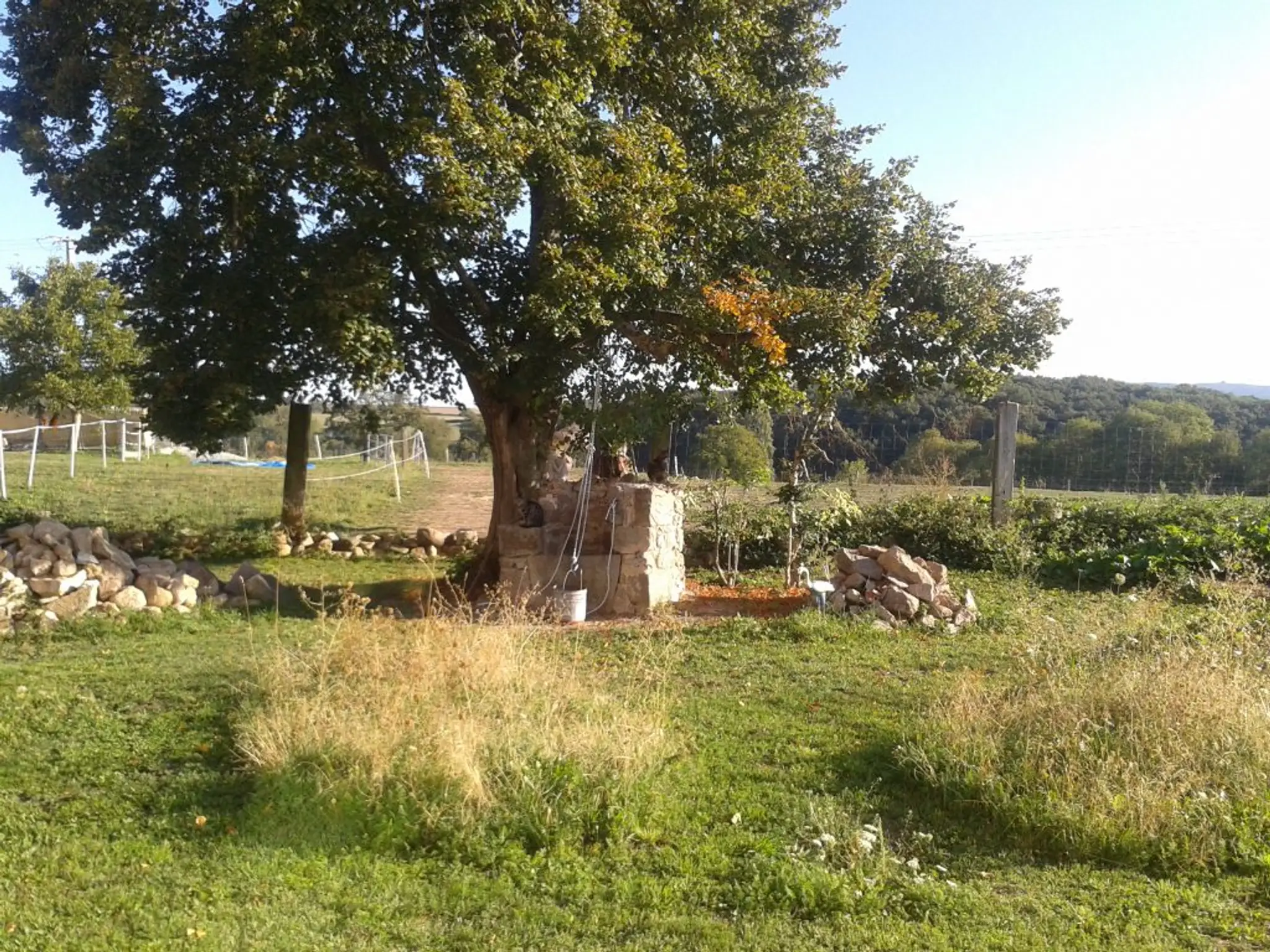 Alice Et Cyril, Yoga