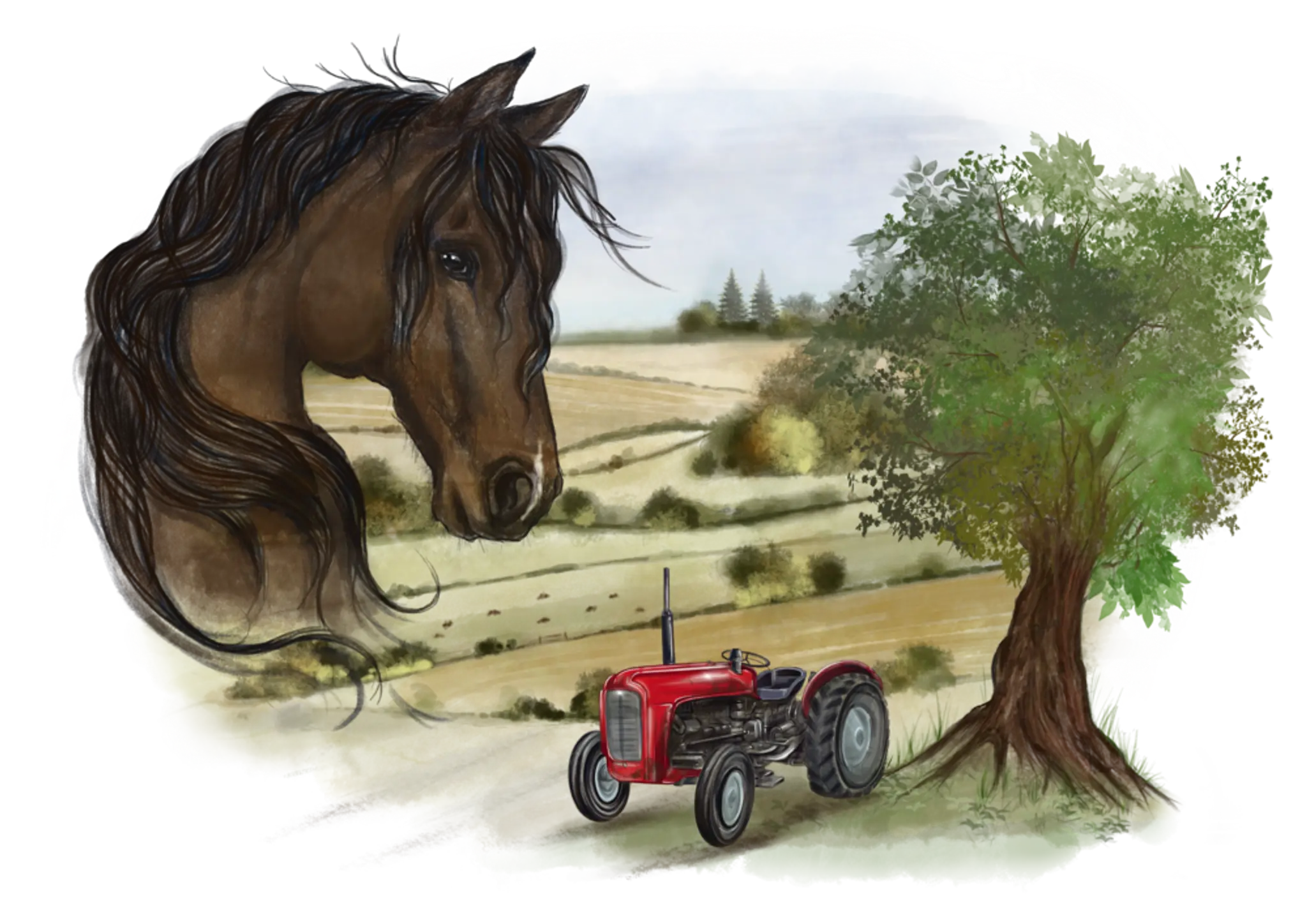 The Garden Cafe, Pathhead Farm