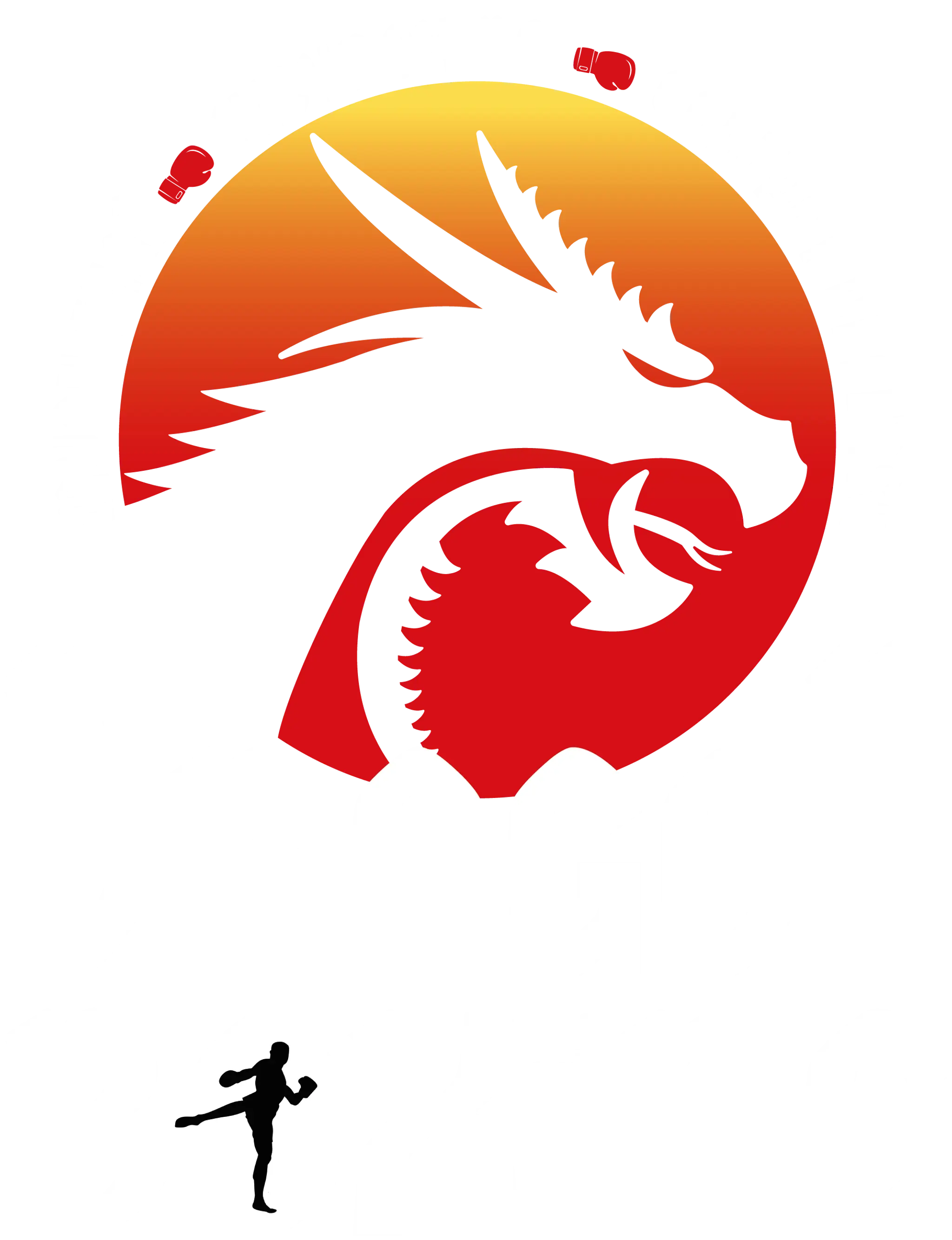Dragon Boxing