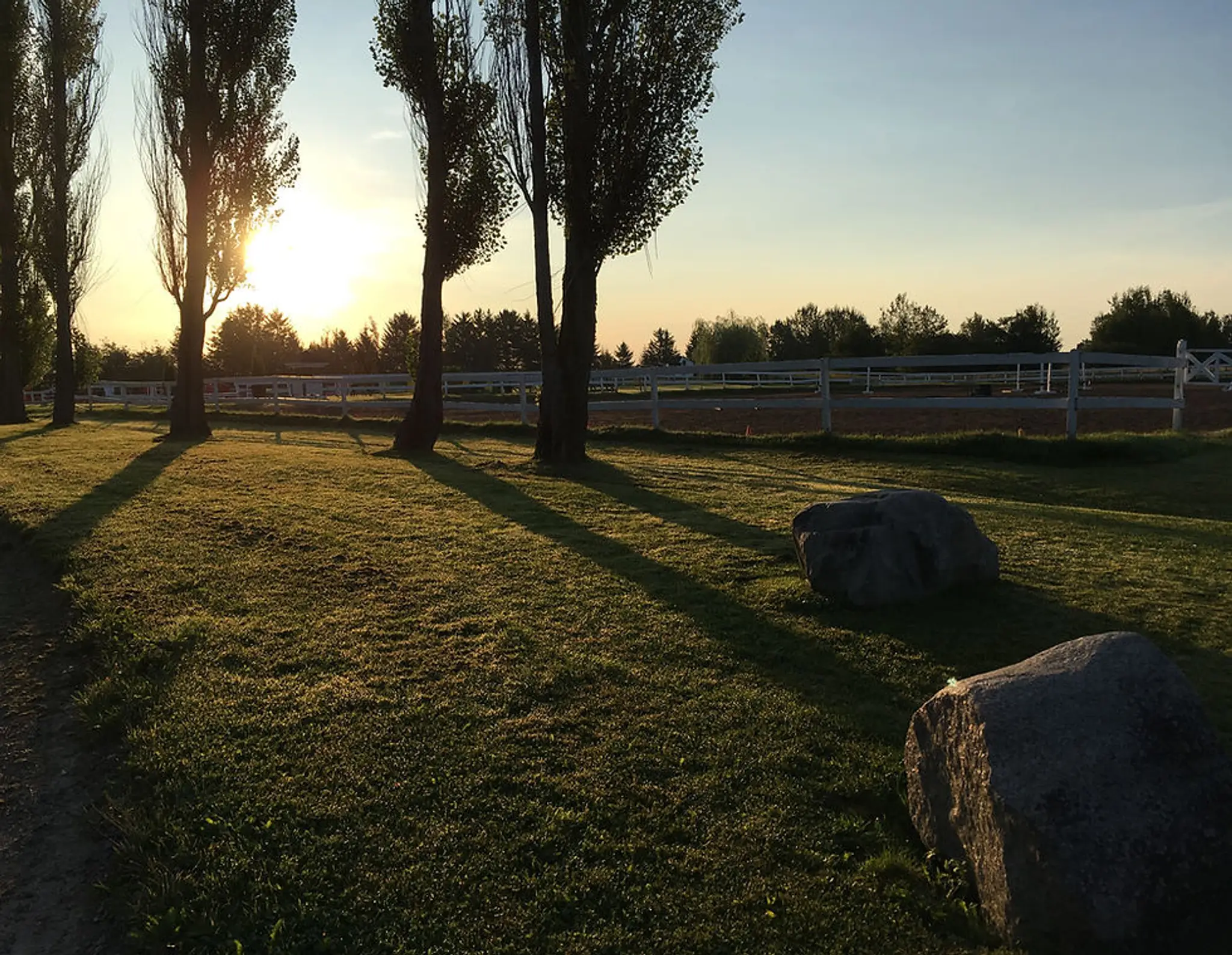 Le Camp Ecole D'Equitation La Licorne