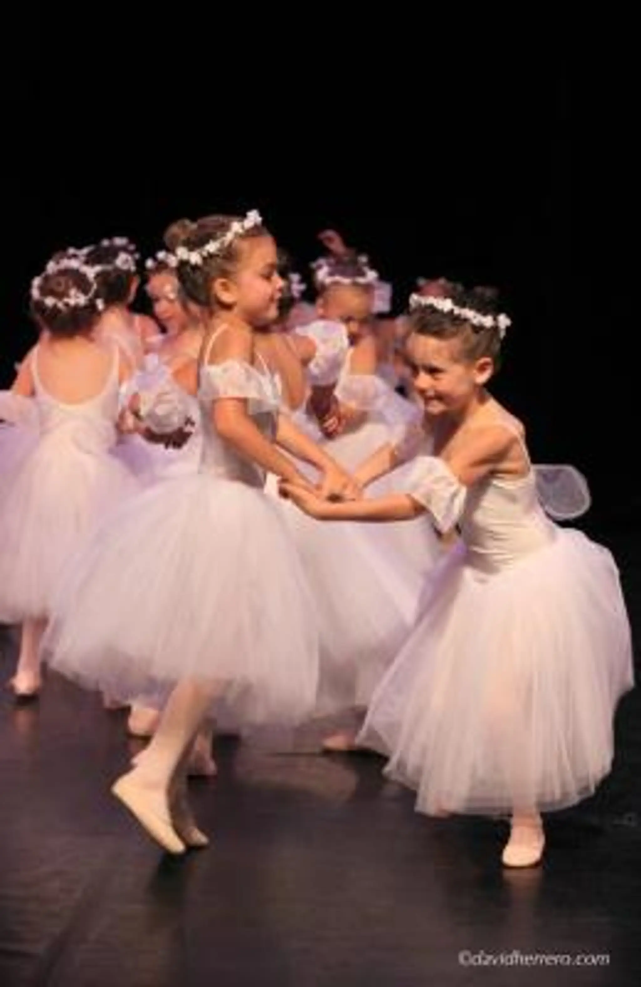 Les Etoiles De Fonsorbes