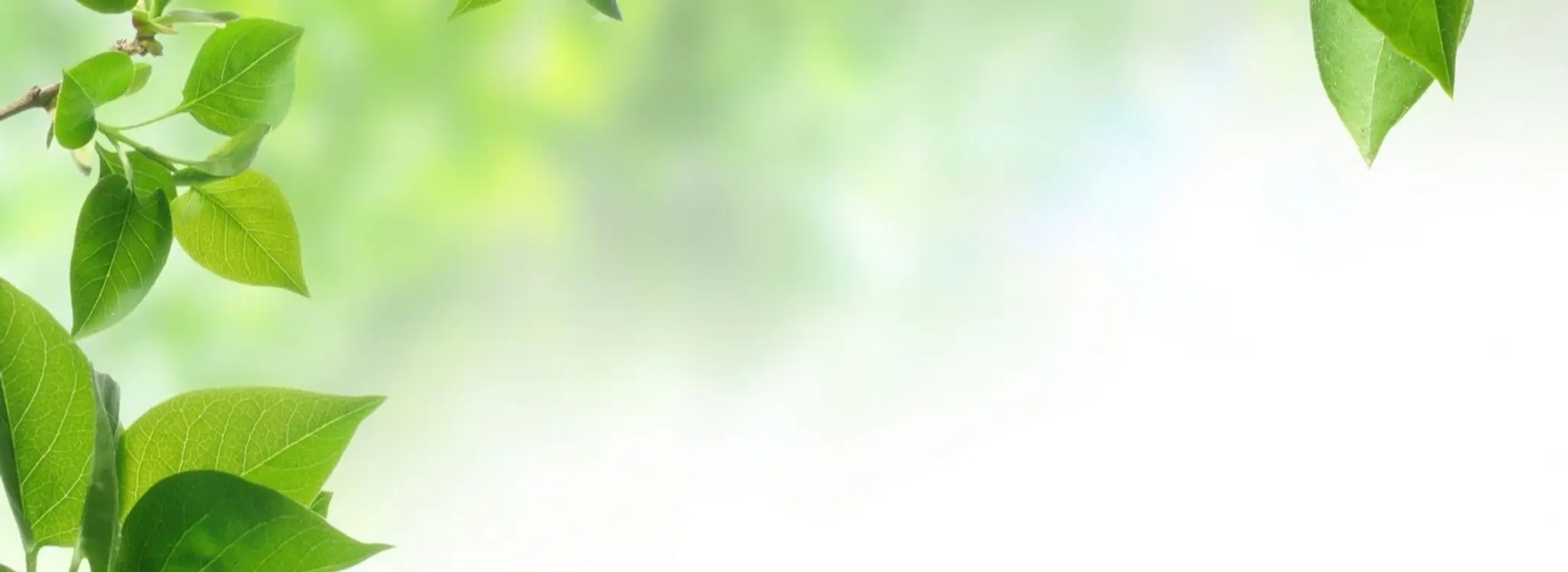 Life Essence Natural Therapies & Counselling Centre