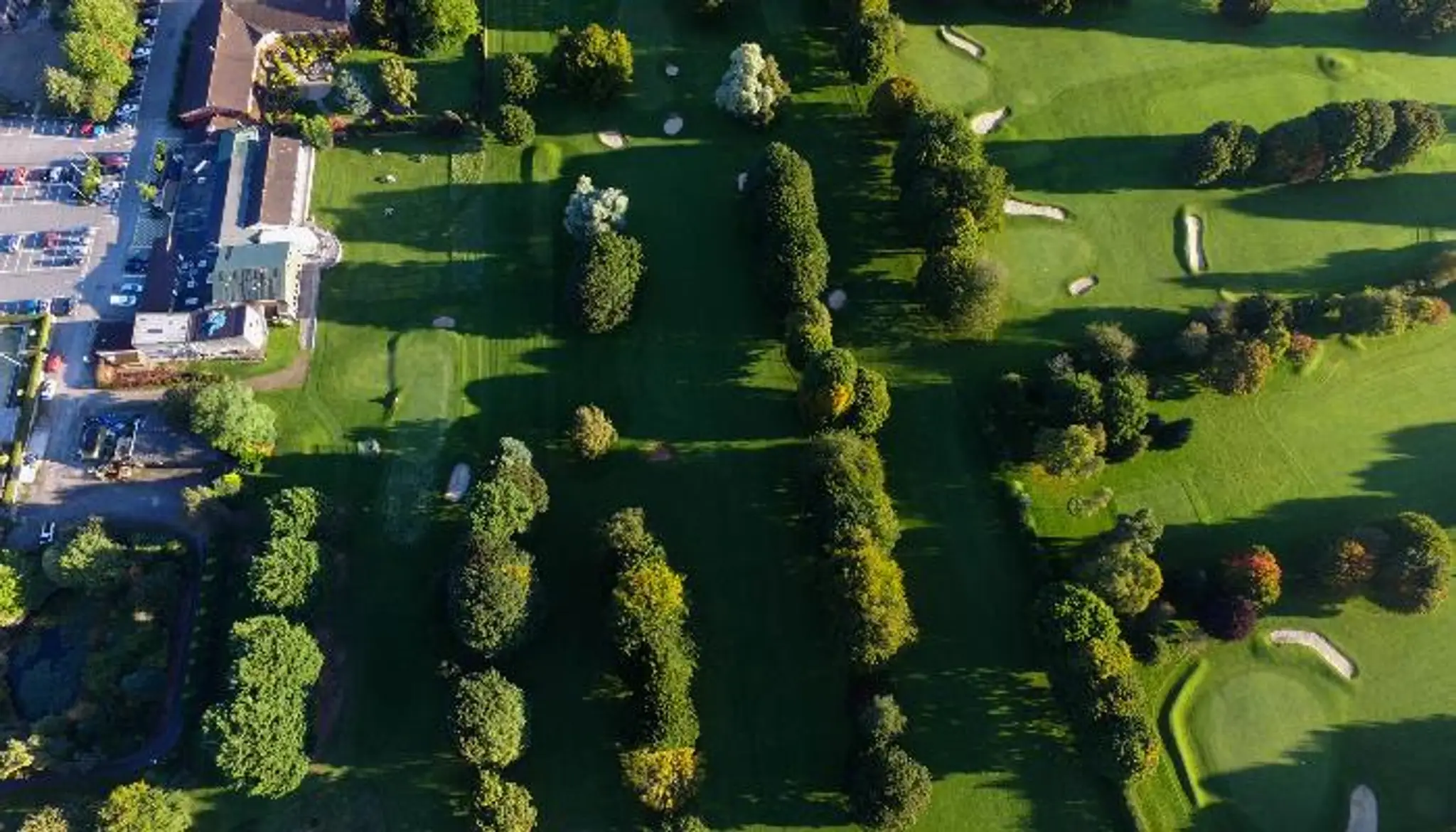 Vana Health & Wellness