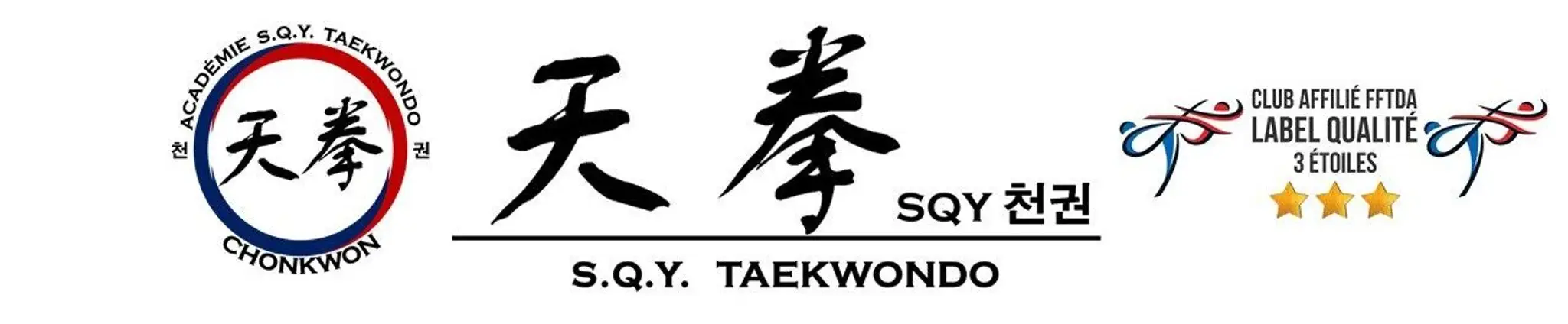 Academy Sqy Taekwondo