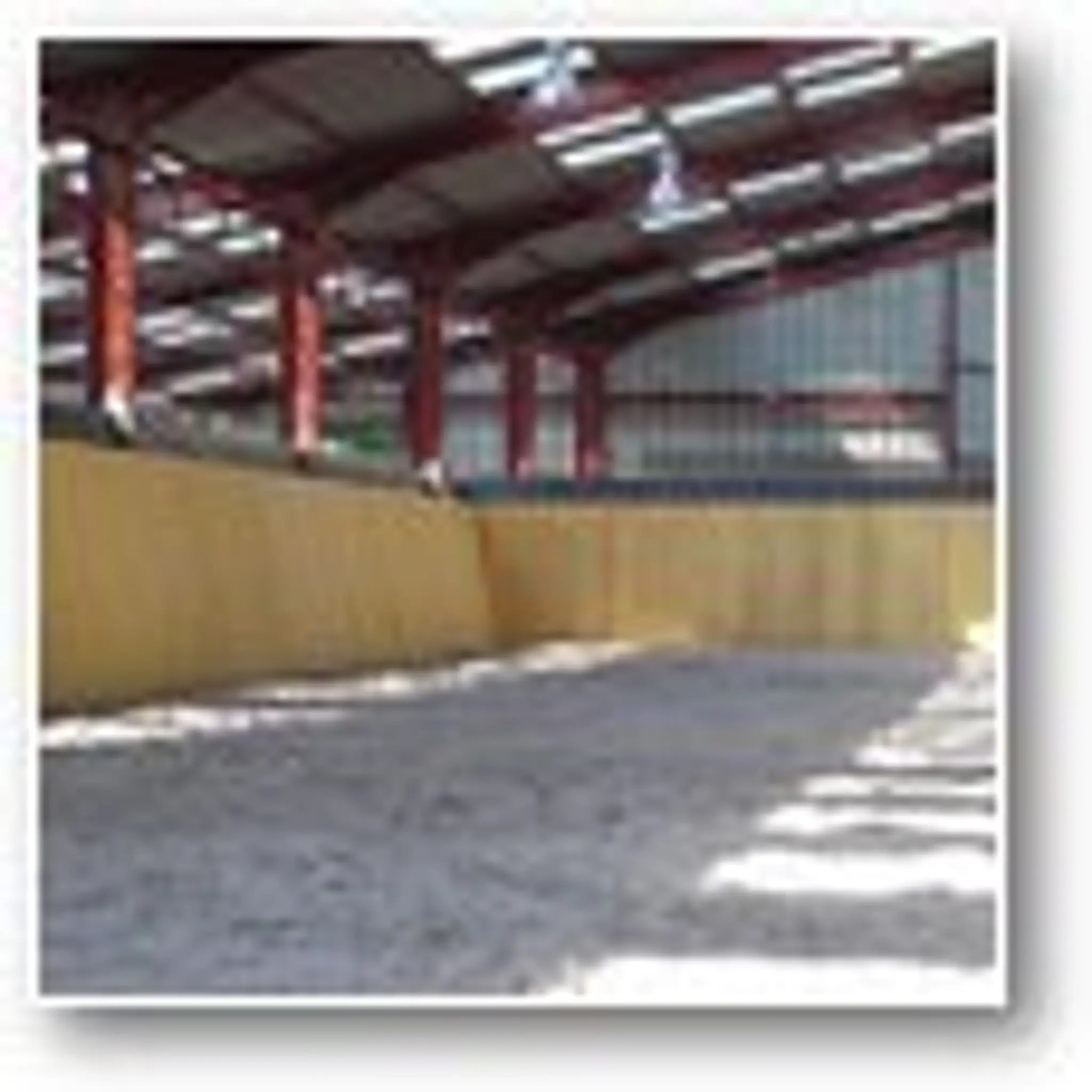 CENTRE EQUESTRE DU CHENE