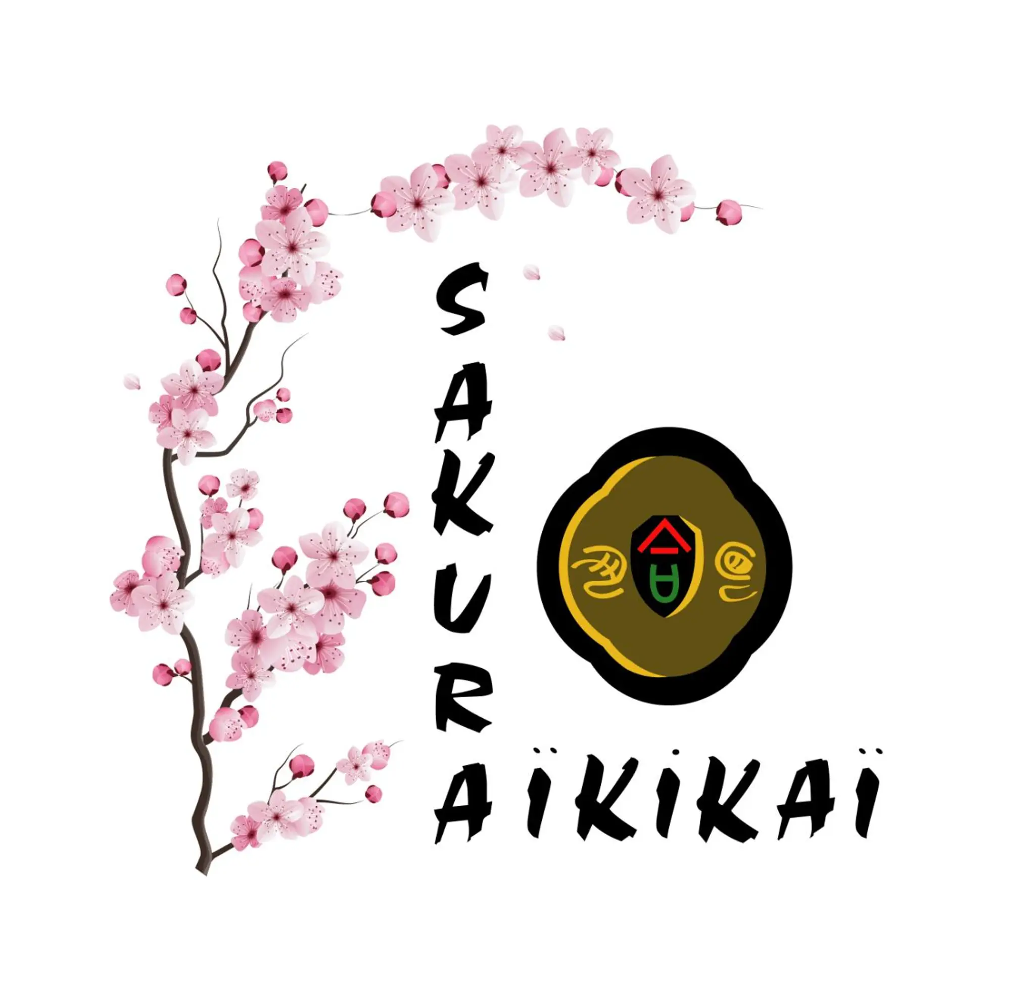 Aikido Ajaccio