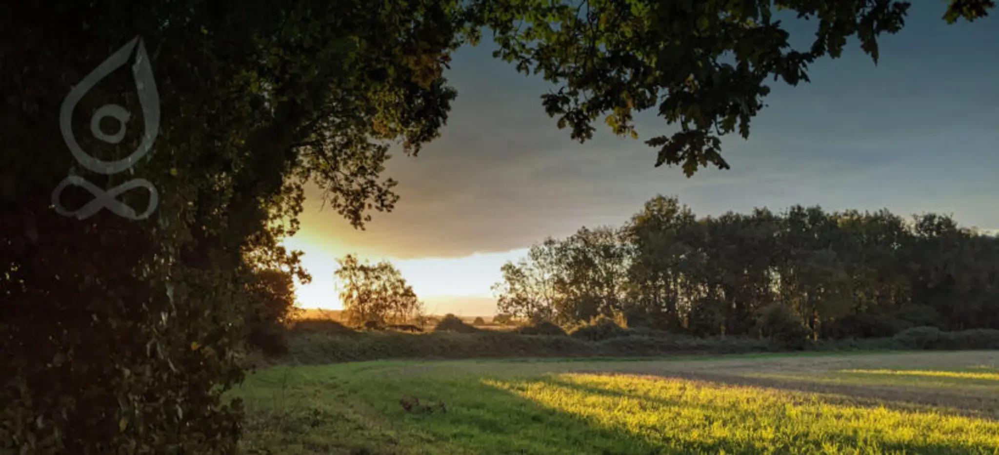 Jo Pilates & Wellbeing