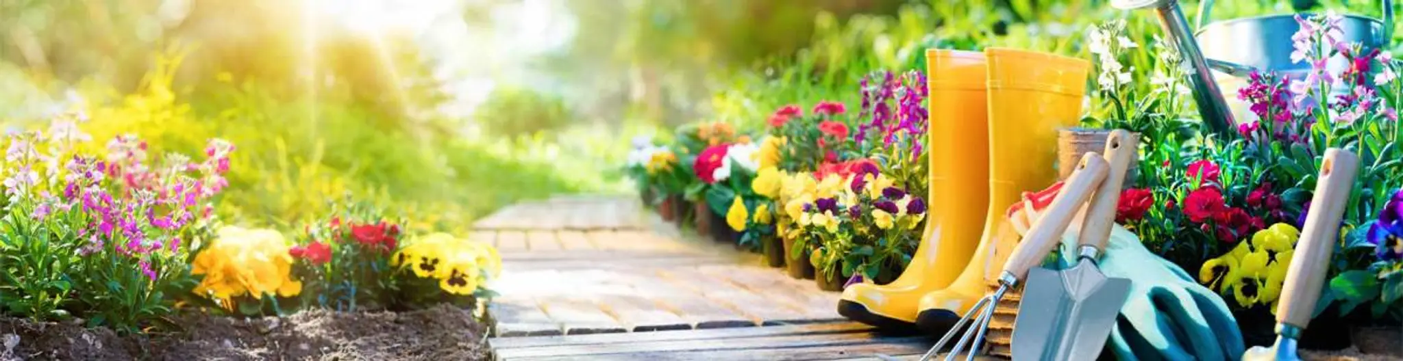 Pemberton Heights Community Hall