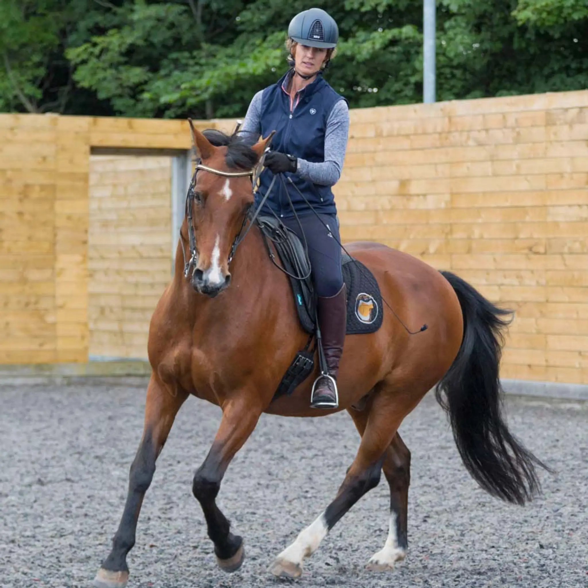 The School of Legerete ltd