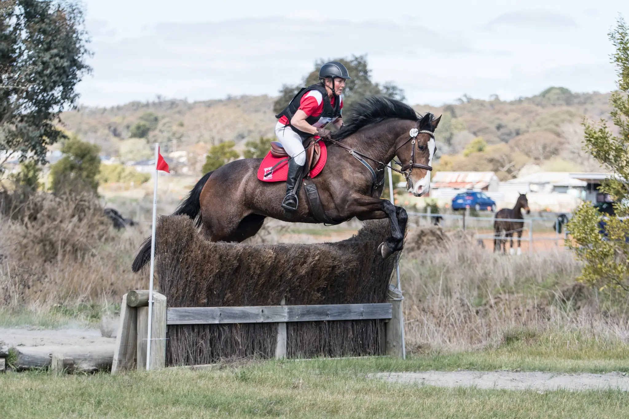 Tandivale Equestrian Centre & Pony Club