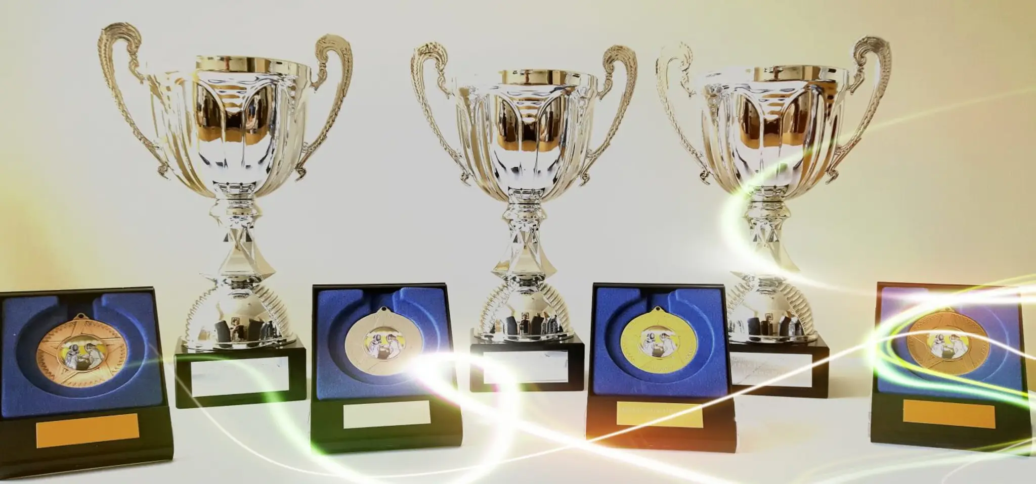 Wingerworth Fencing Club