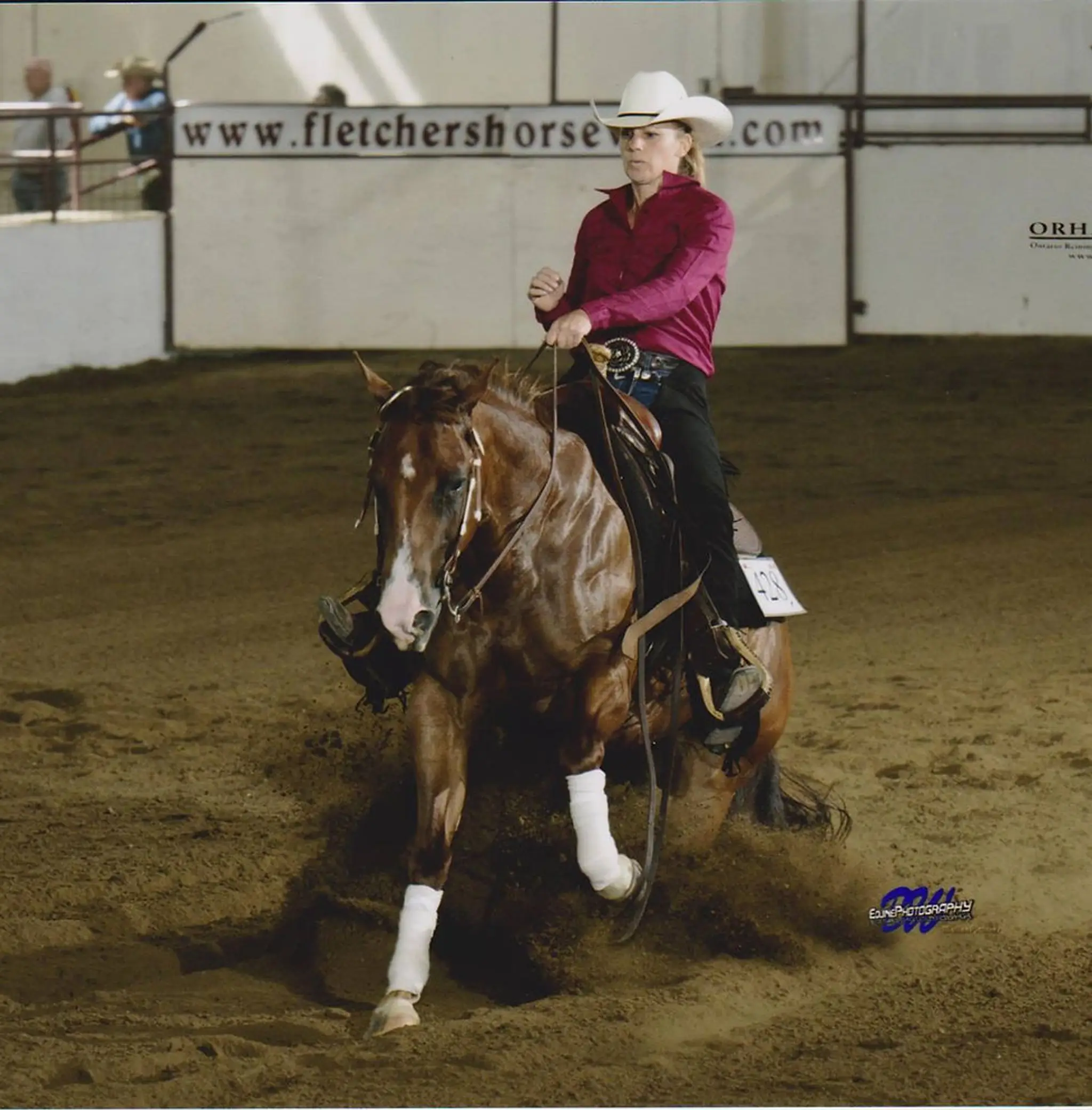 Jonas Performance Horses