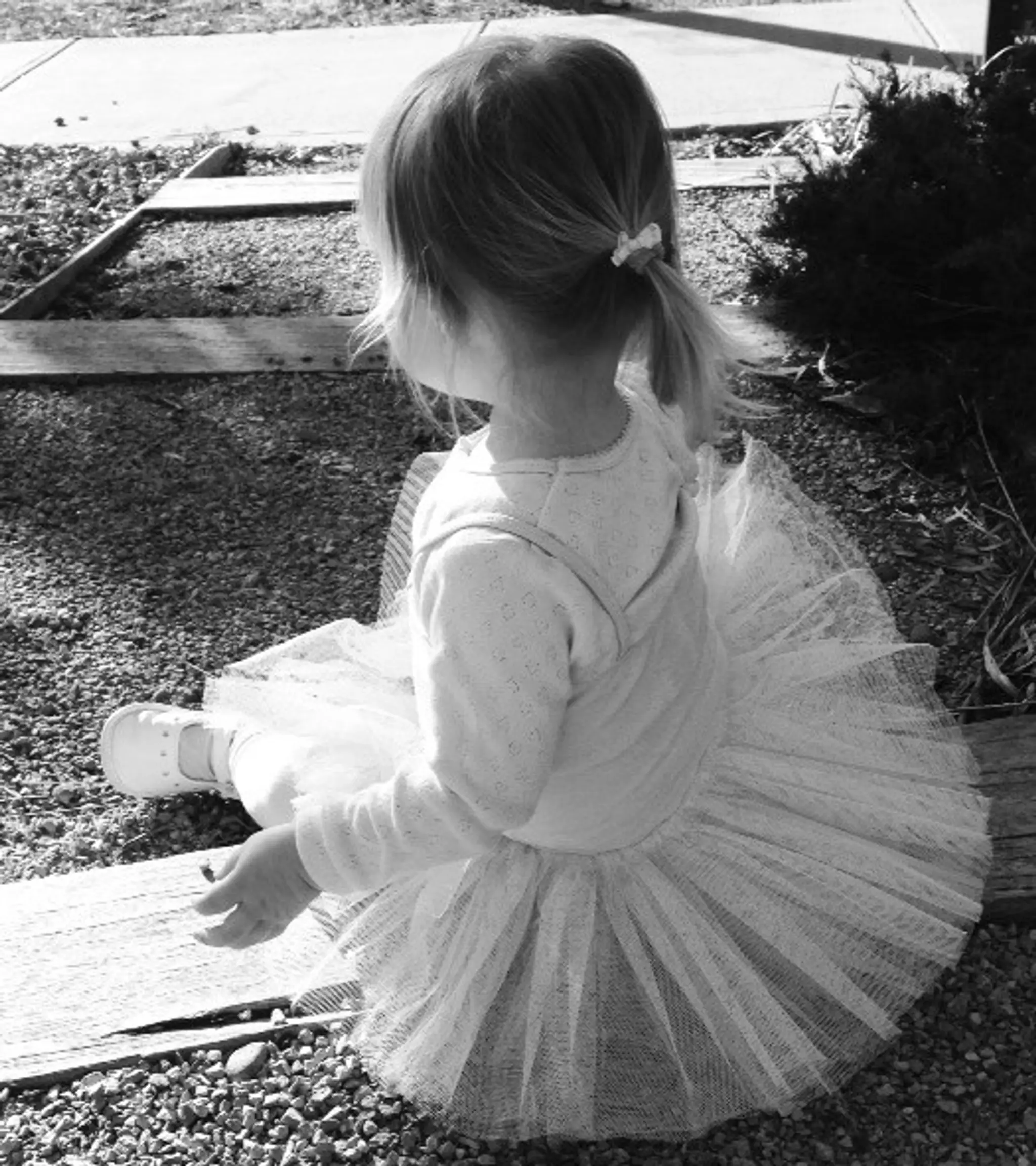 Fairy Feet Dance Club