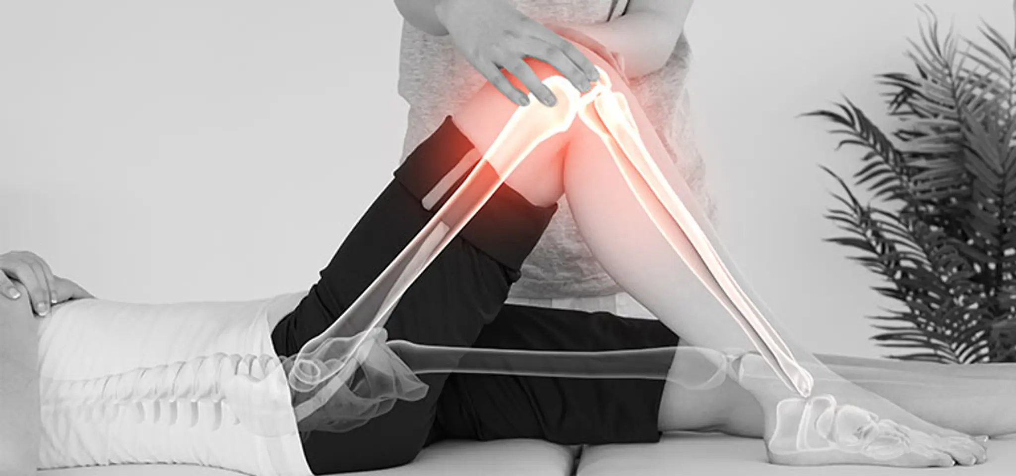 Eugene McDonald Physiotherapy - Macsphysio