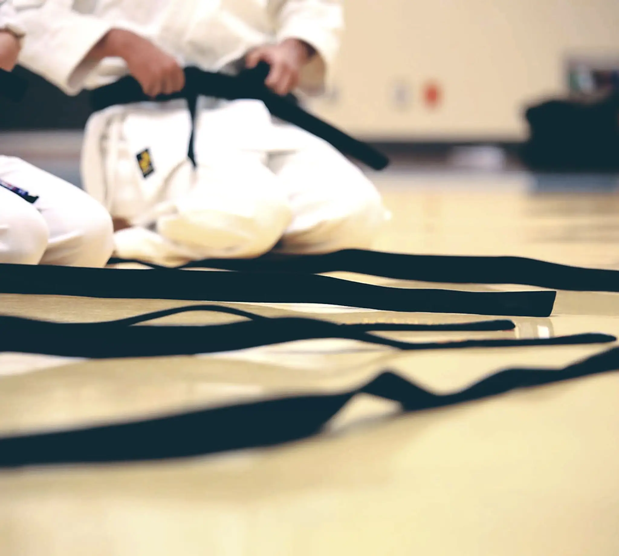 Karate Budokan Gap