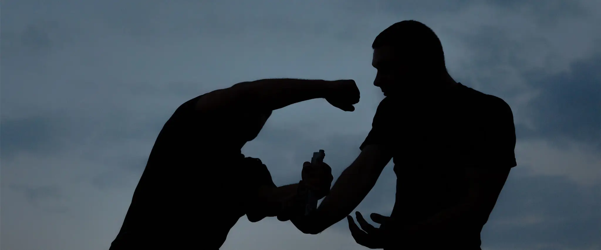 International Krav Maga Federation