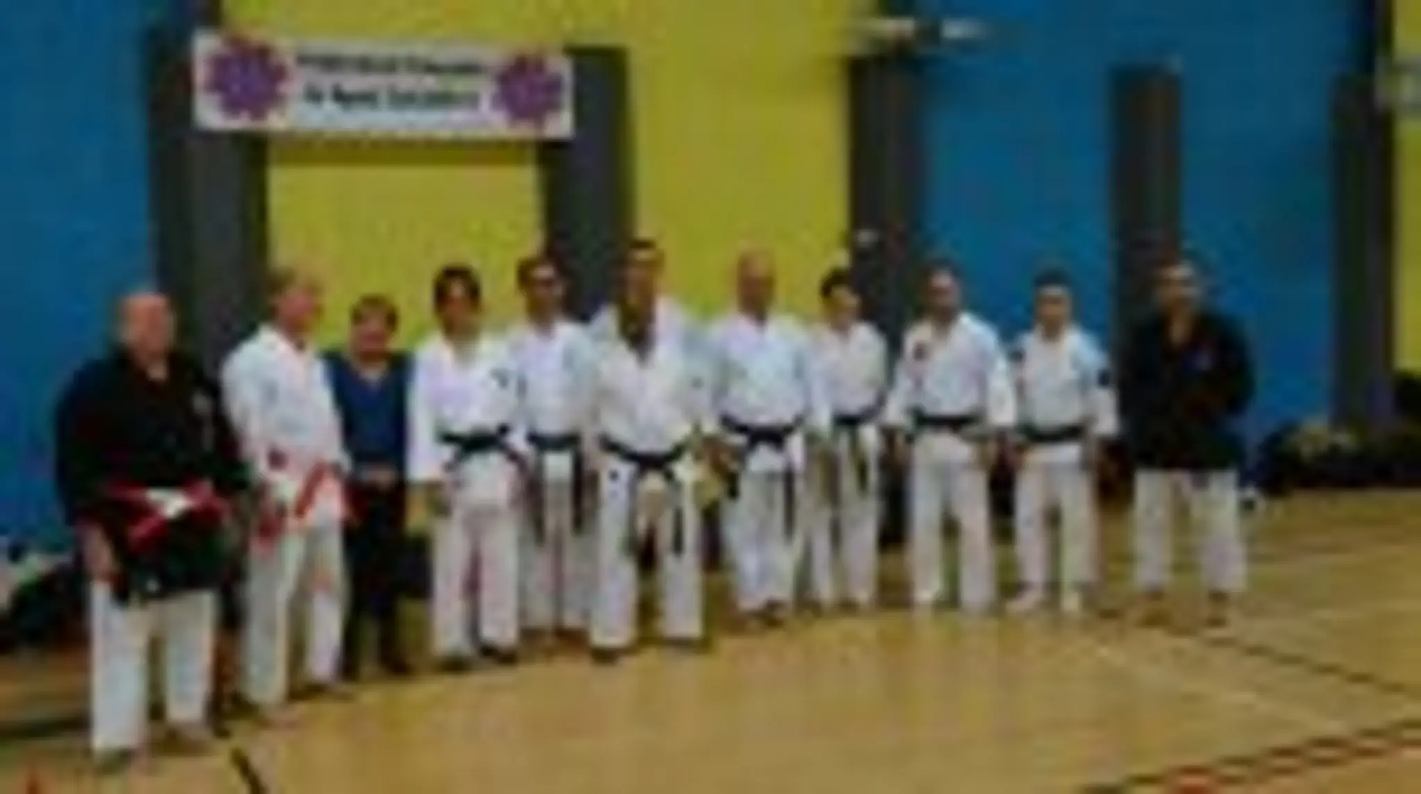 Academie Yiseishindo Arts Martiaux Culturels