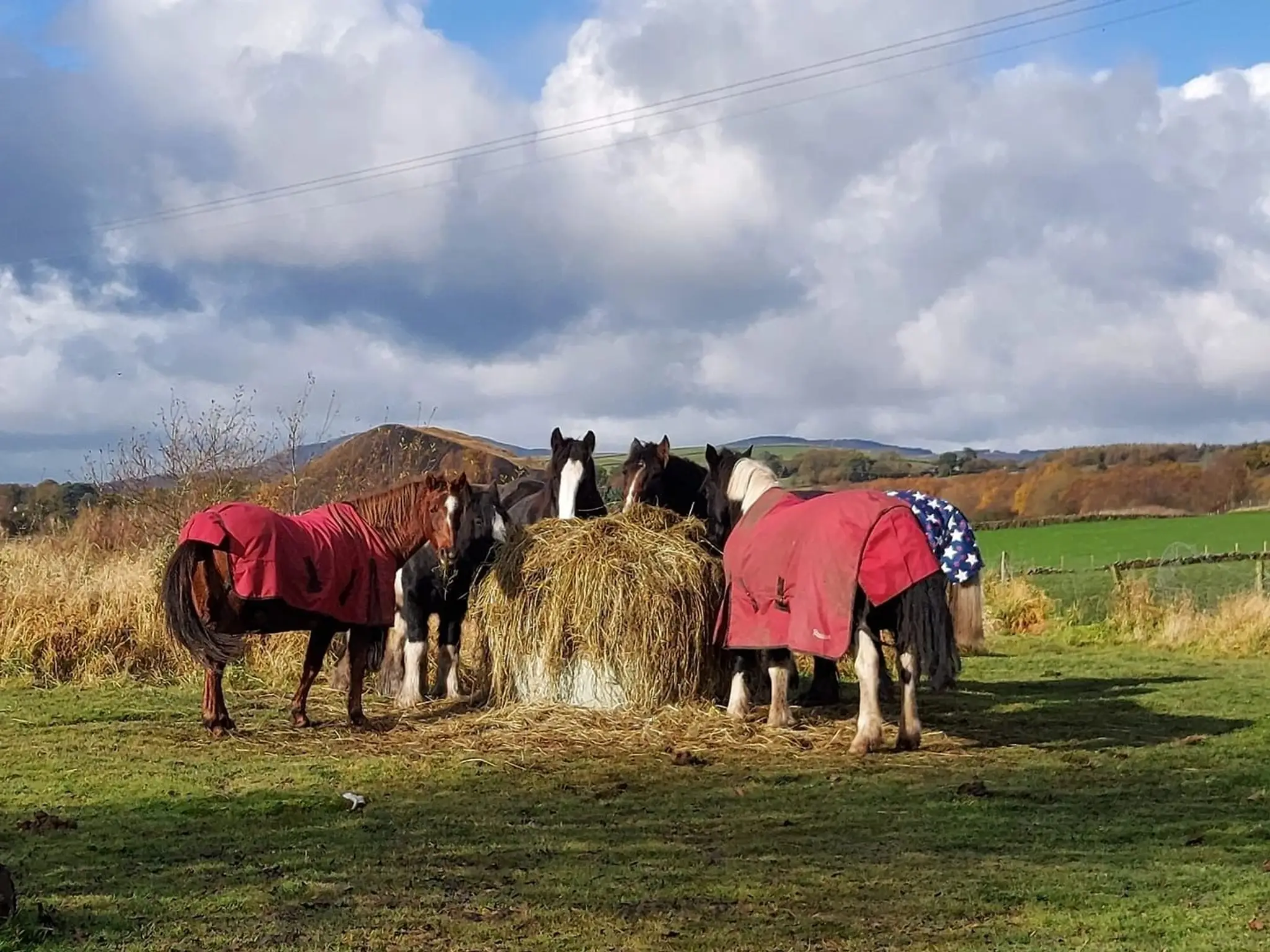 Happy Hooves Sanquhar C.I.C