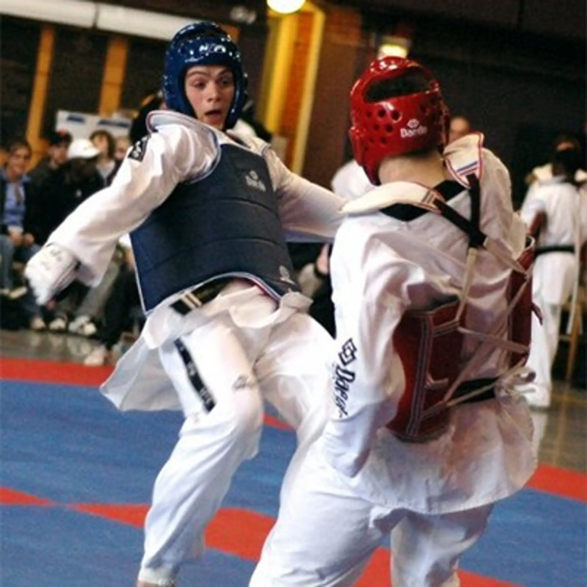 SATORI Elite TaeKwonDo