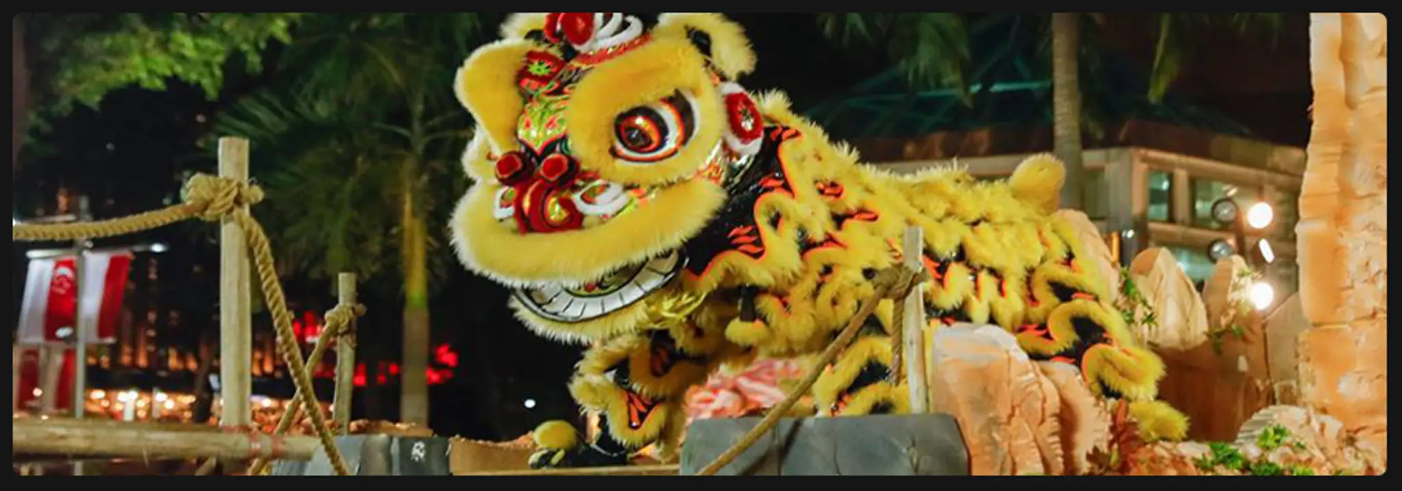 Wenyang Sports Association (Wen Yang Lion Dance Troupe)
