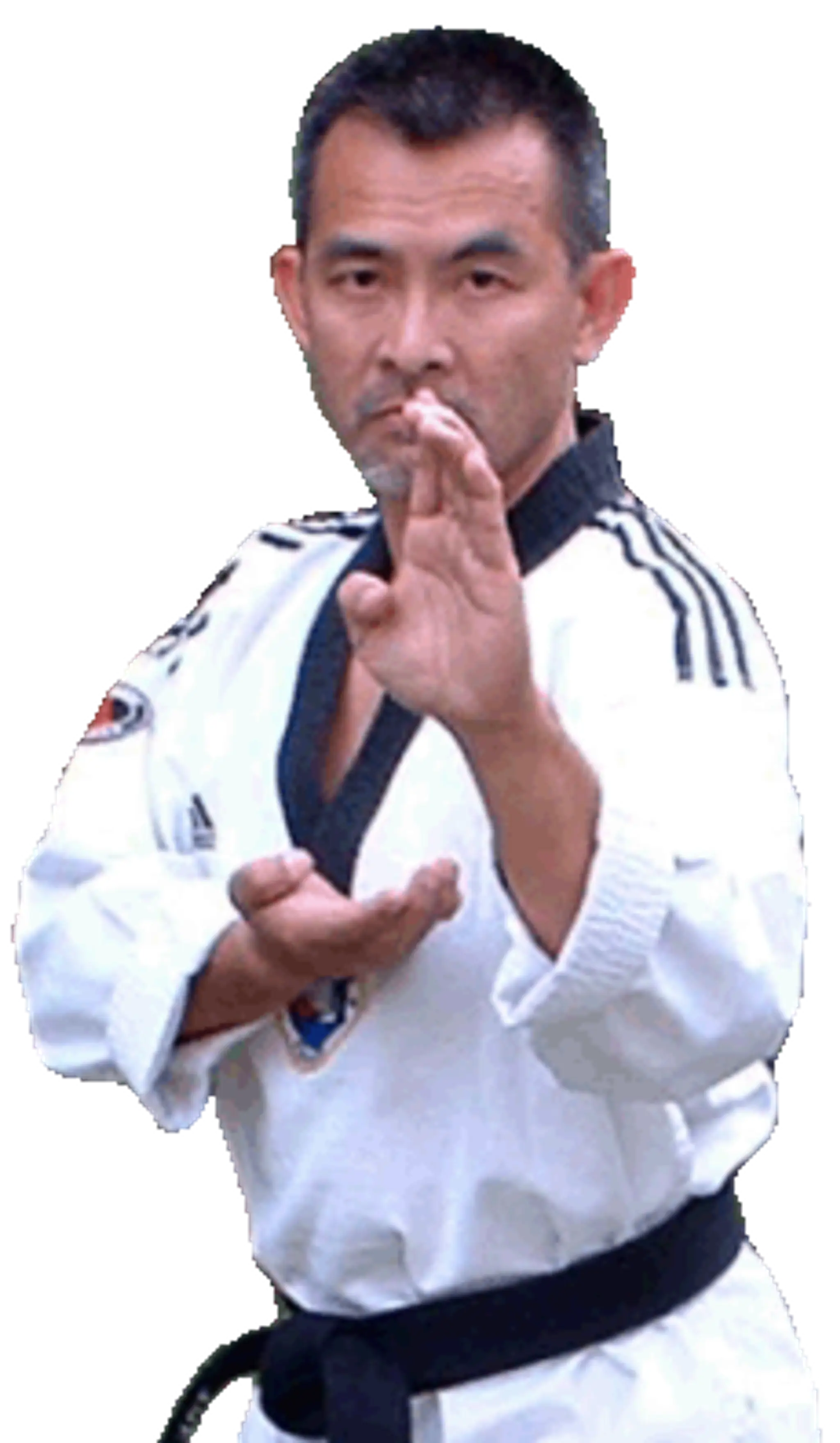Association De Taekwon-Do Du Val D'oise