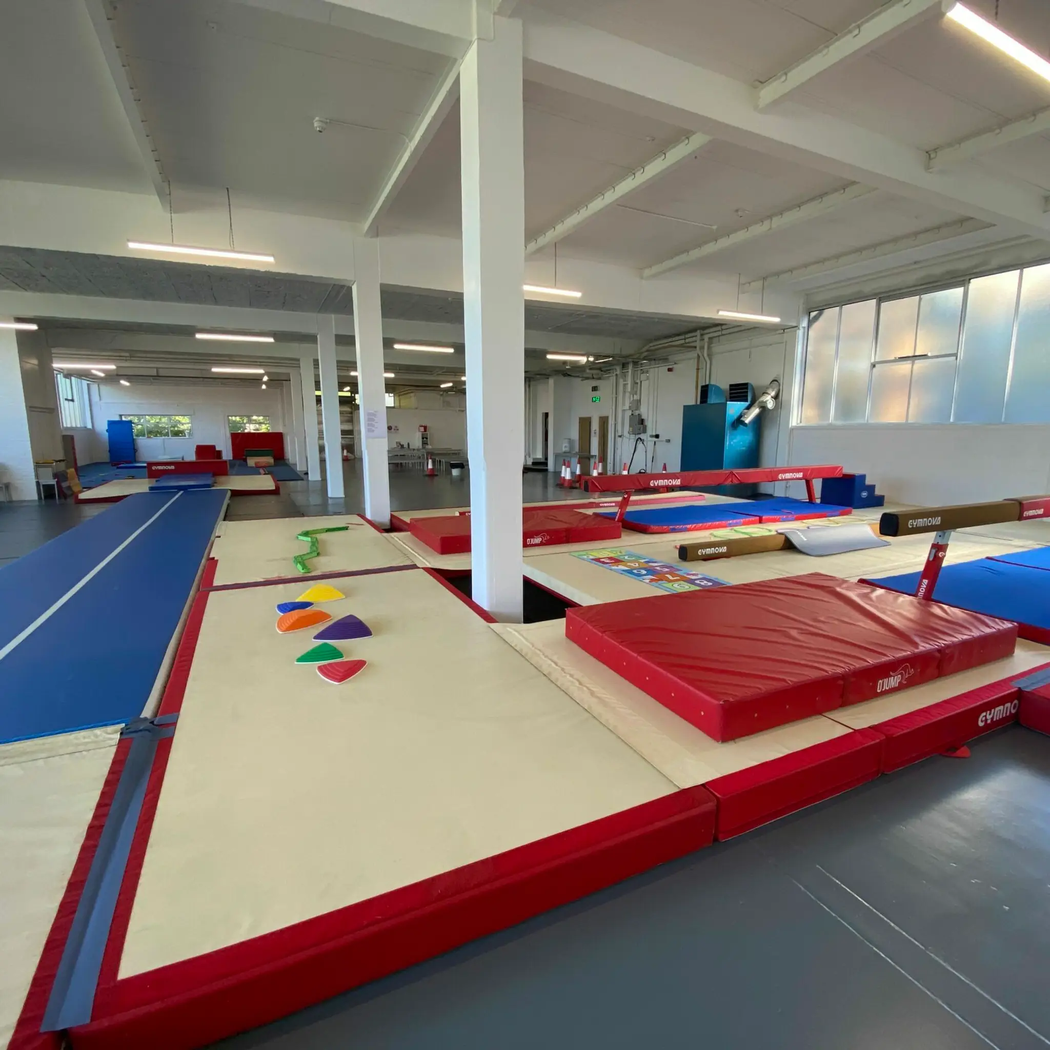 Anima Gymnastics Club Barnet