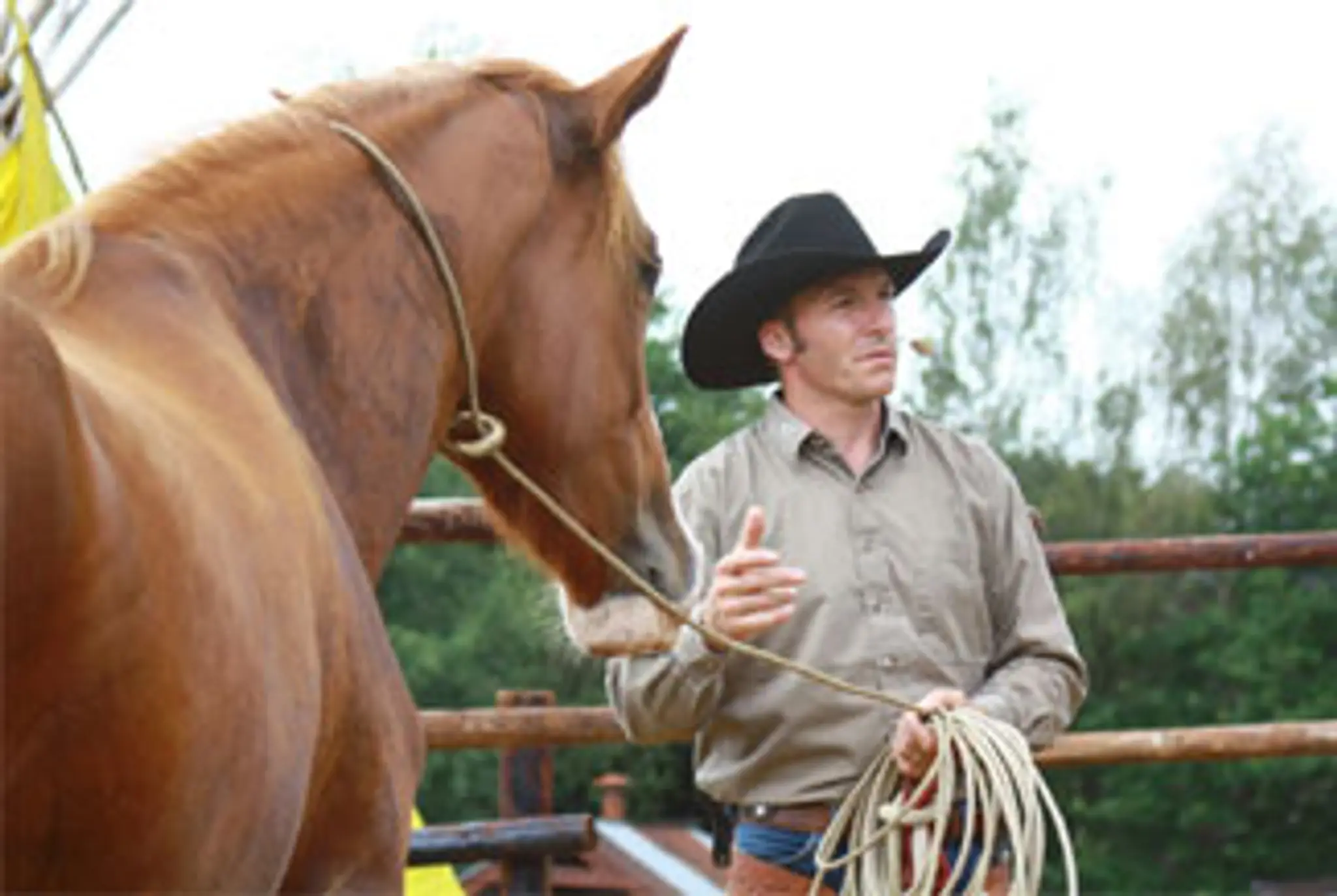 Riding Ethologique