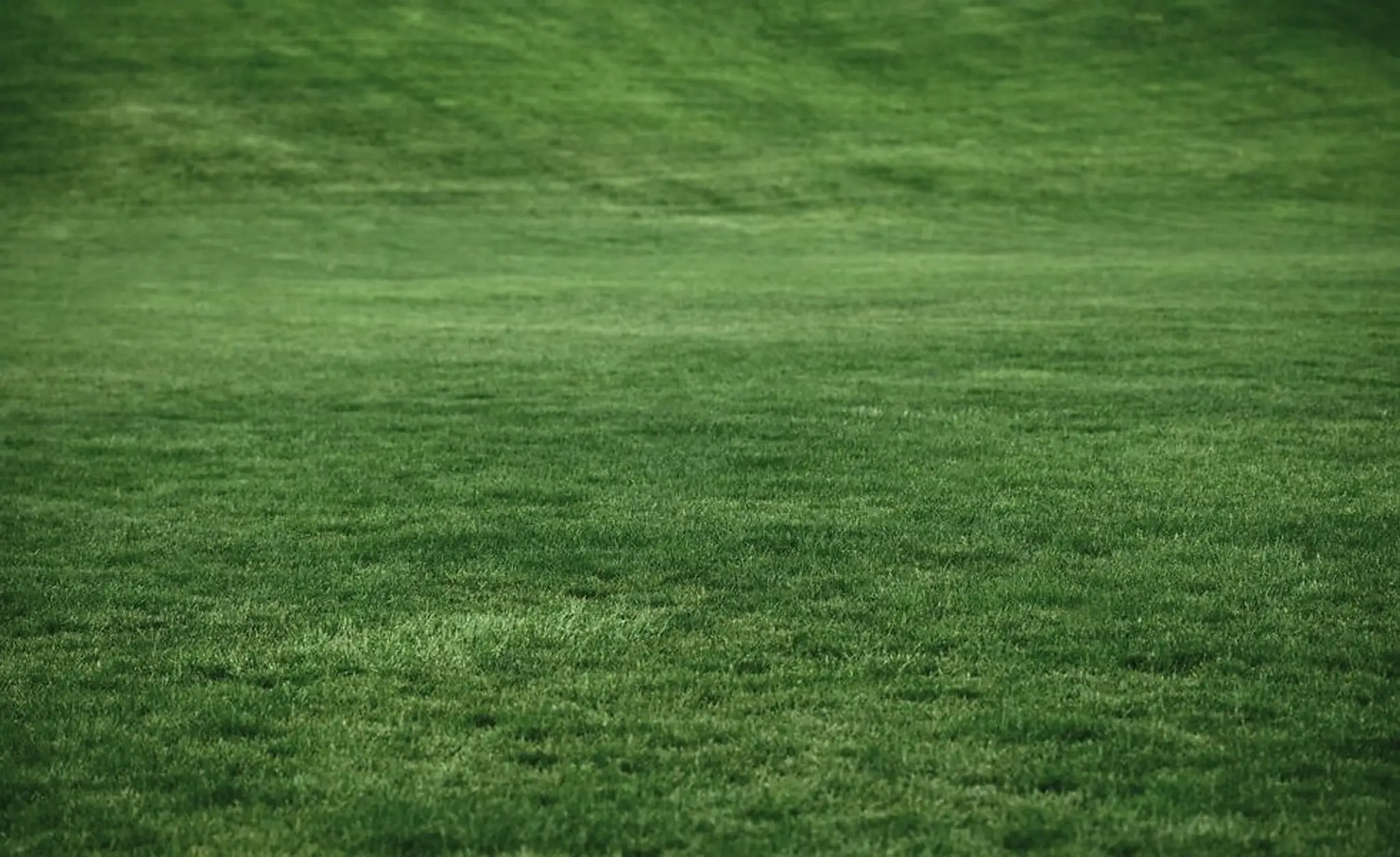 Center De Golf Fabreville Inc