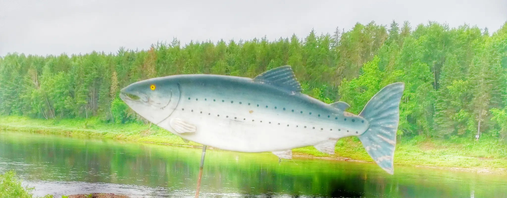 Black Brook Salmon Club