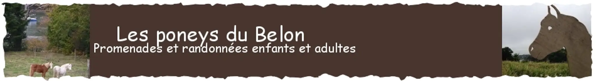 Les Poneys du Belon