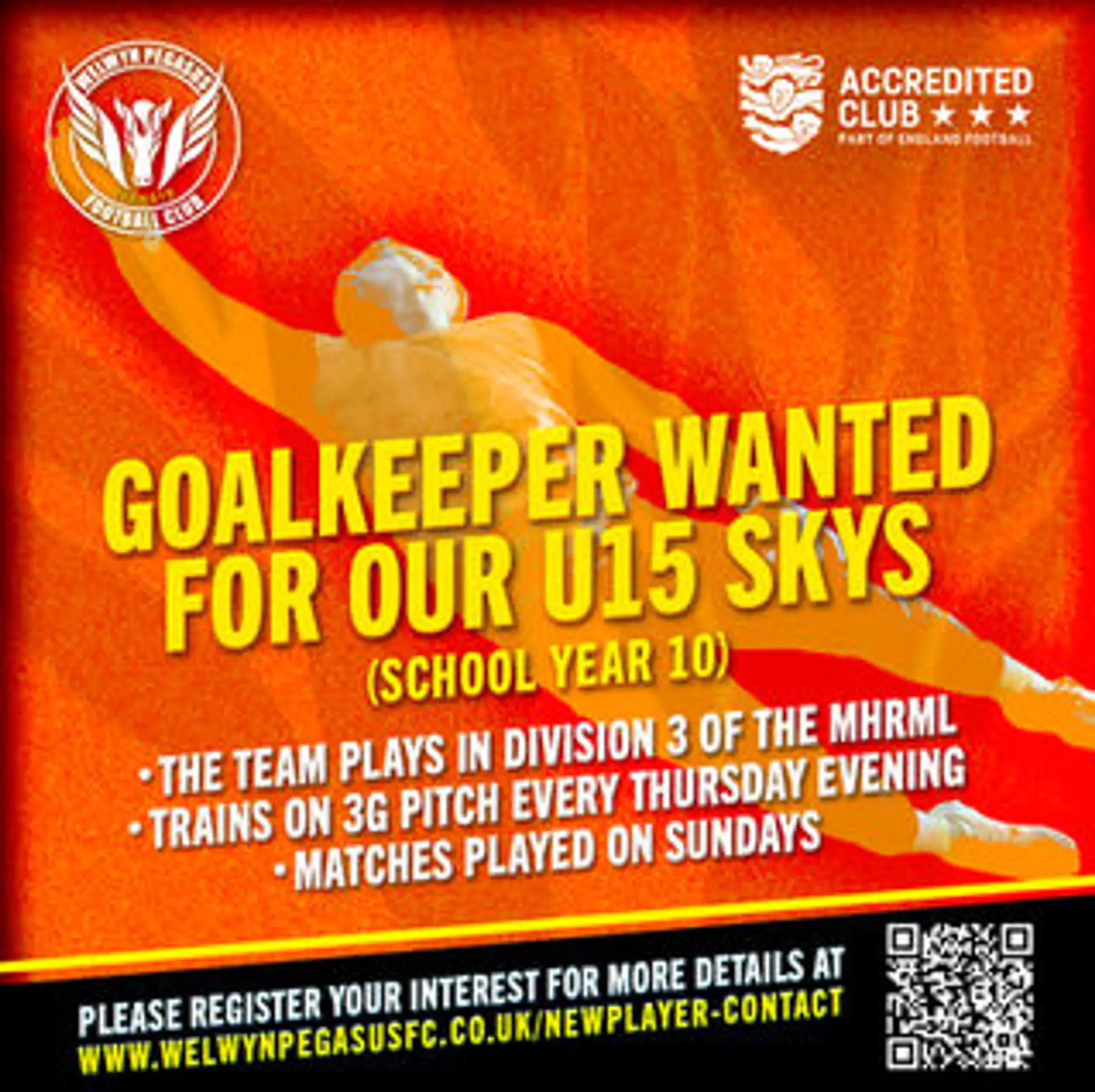 Welwyn Pegasus Football Club