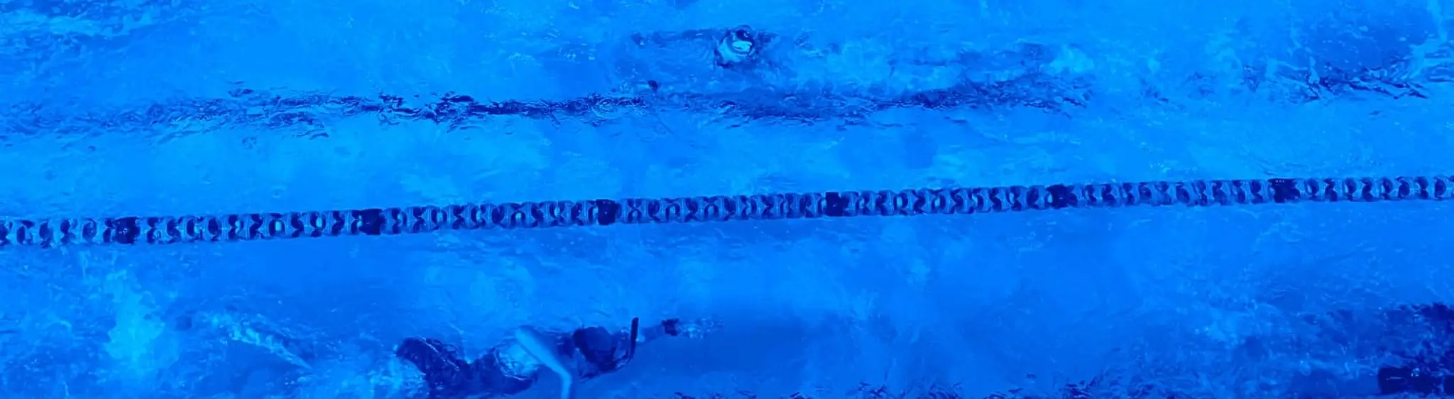 Swim Squads Newmarket
