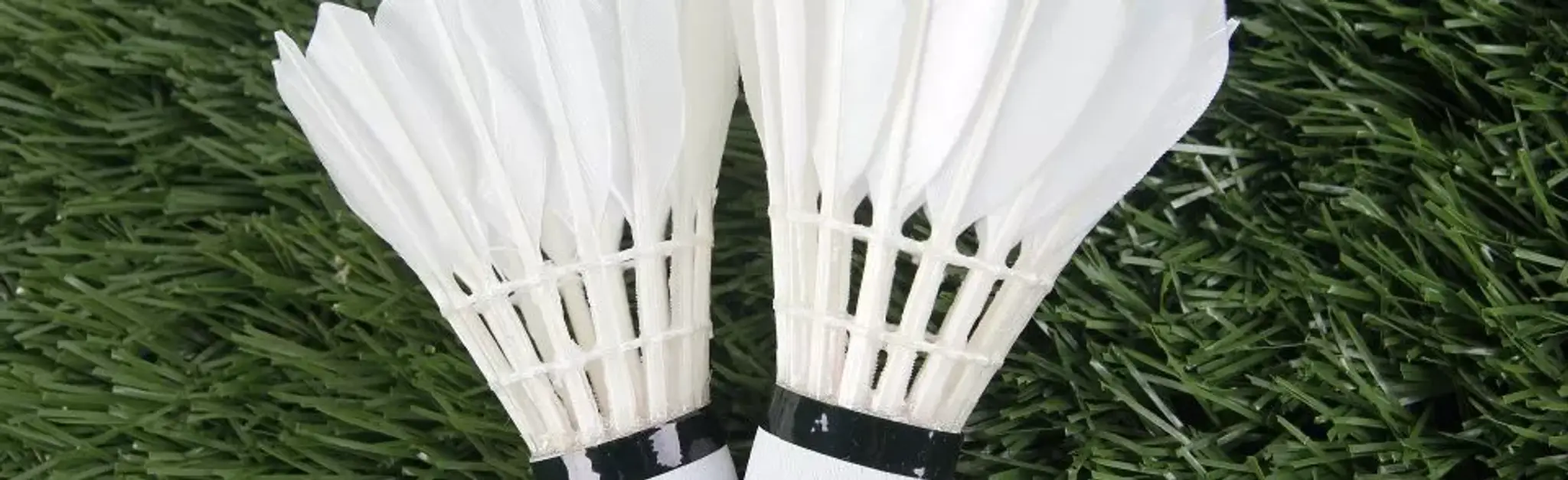 Cobra Badminton Racing