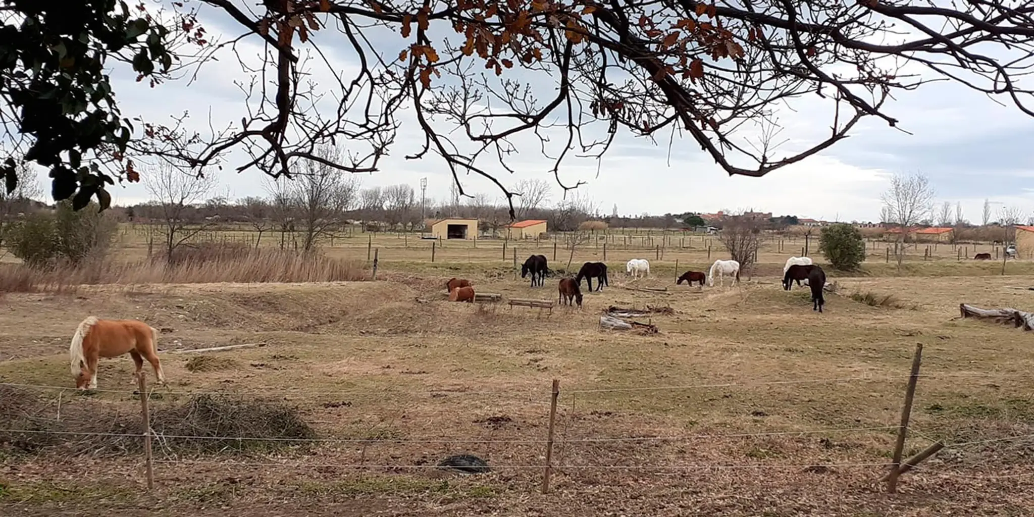 Equestrian Center De Val Marie